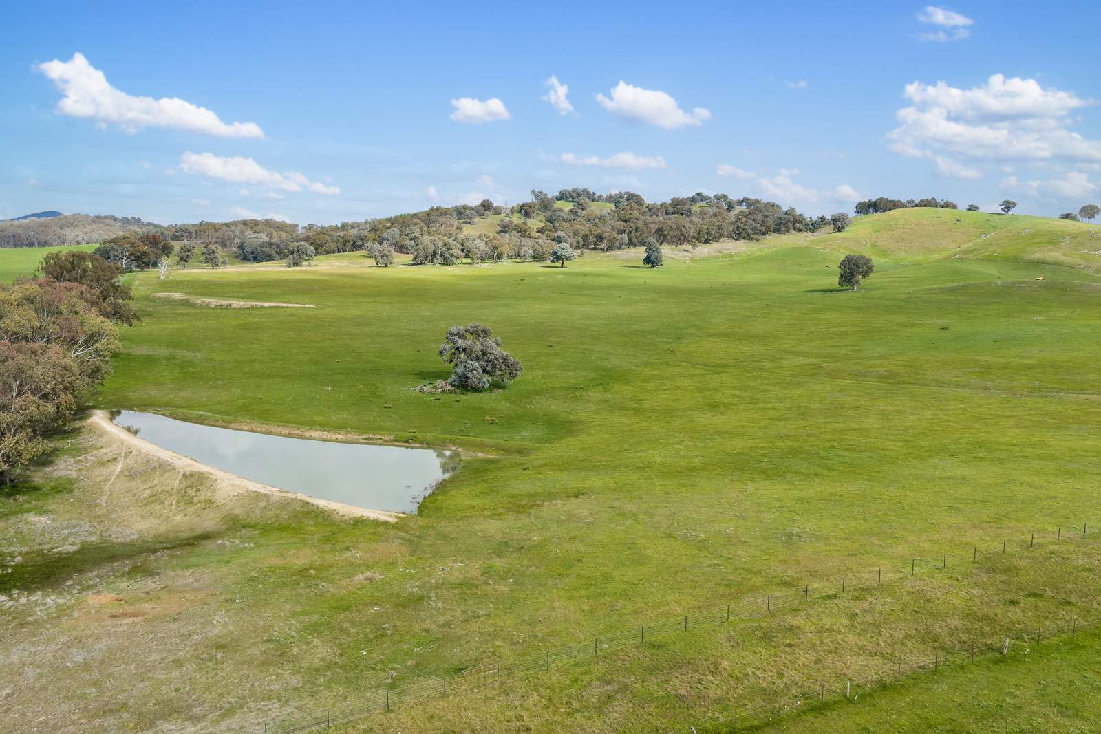 817 Upper Lurg Road, Upper Lurg For Sale by Farmbuy.com - image 29