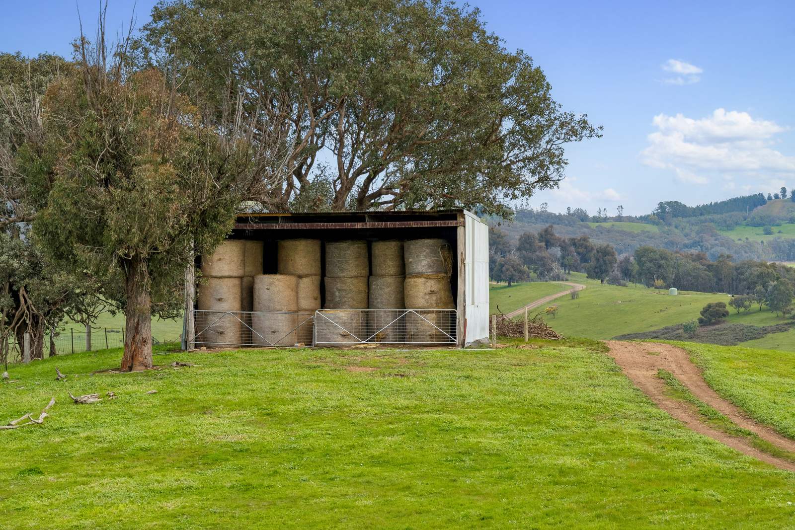 817 Upper Lurg Road, Upper Lurg For Sale by Farmbuy.com - image 7