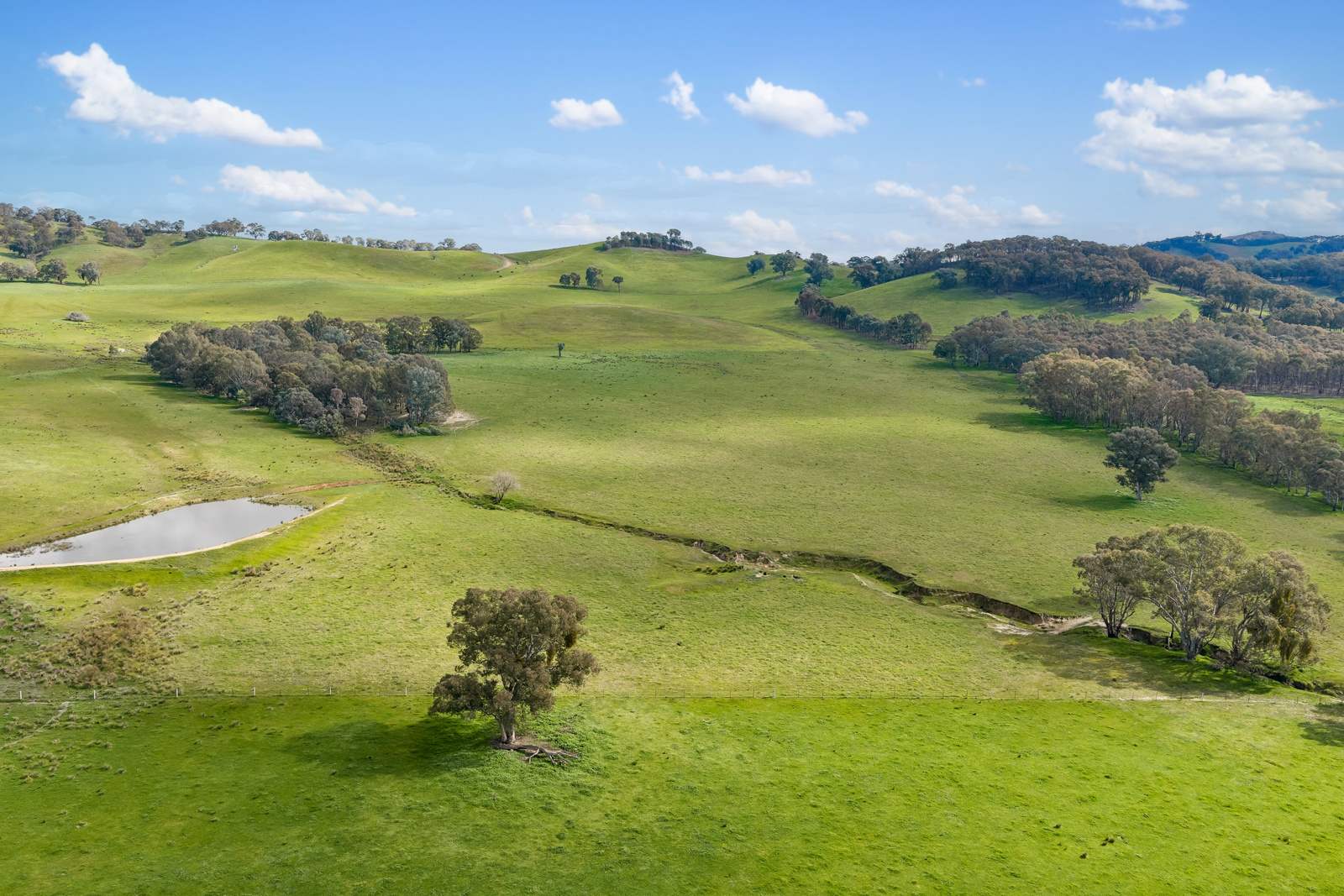 817 Upper Lurg Road, Upper Lurg For Sale by Farmbuy.com - image 26