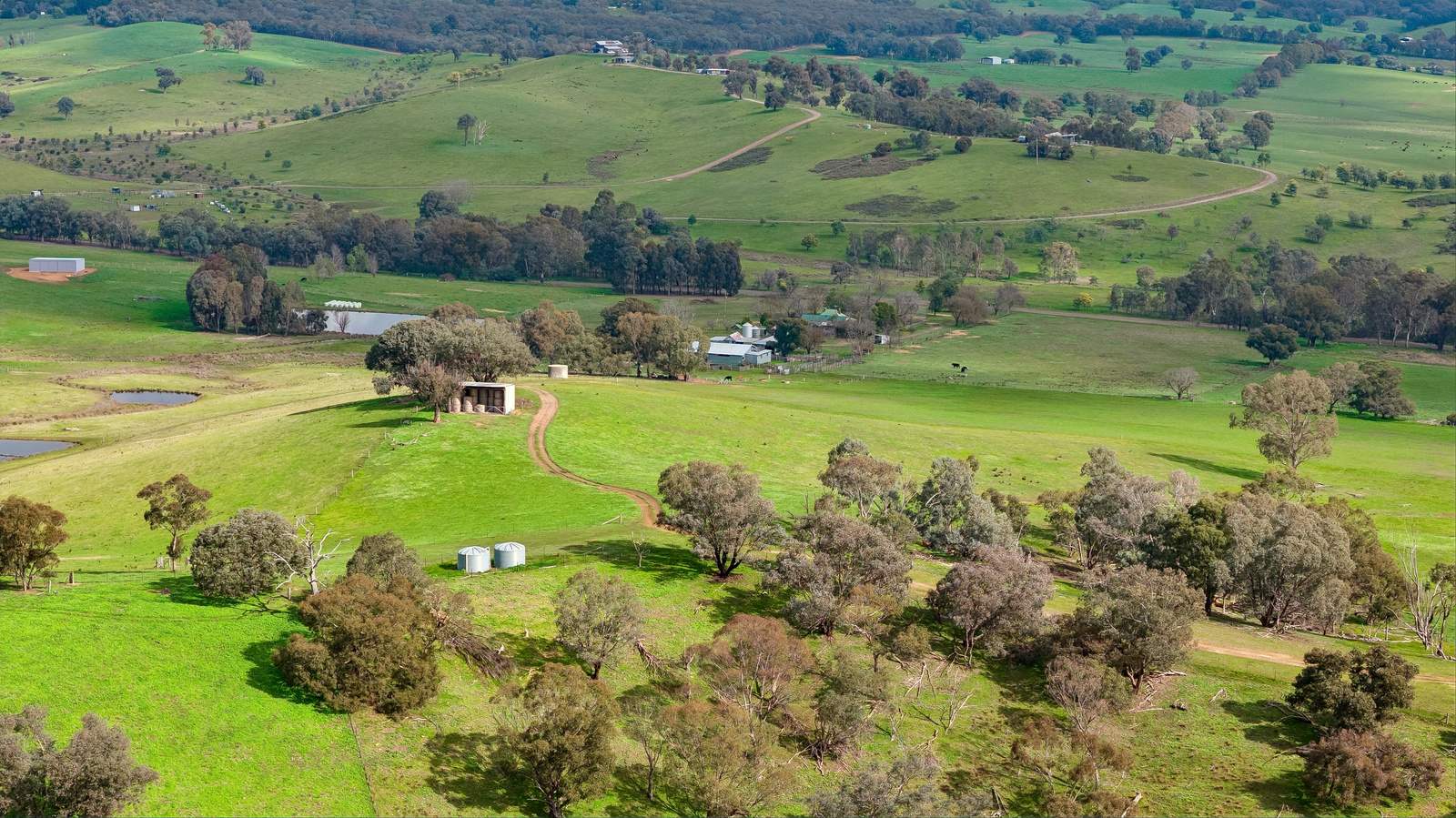 817 Upper Lurg Road, Upper Lurg For Sale by Farmbuy.com - image 13
