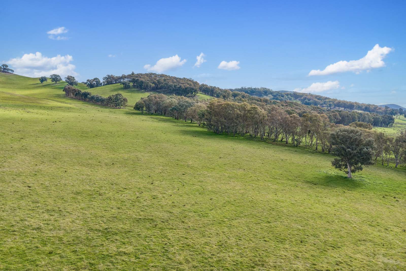 817 Upper Lurg Road, Upper Lurg For Sale by Farmbuy.com - image 28