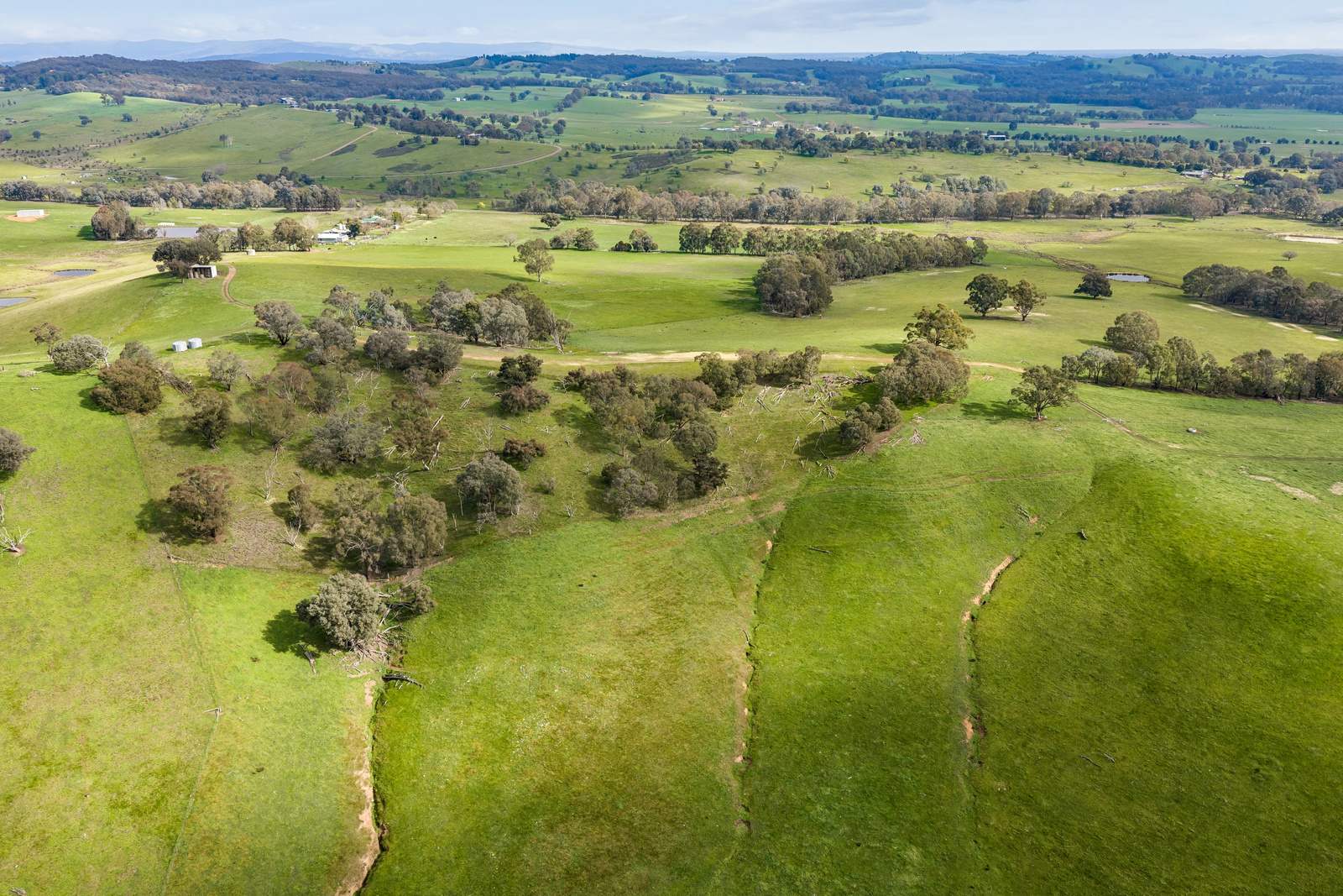817 Upper Lurg Road, Upper Lurg For Sale by Farmbuy.com - image 32