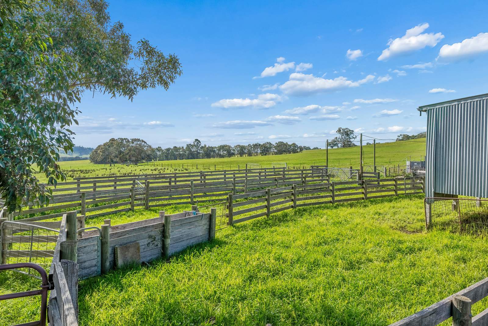817 Upper Lurg Road, Upper Lurg For Sale by Farmbuy.com - image 11