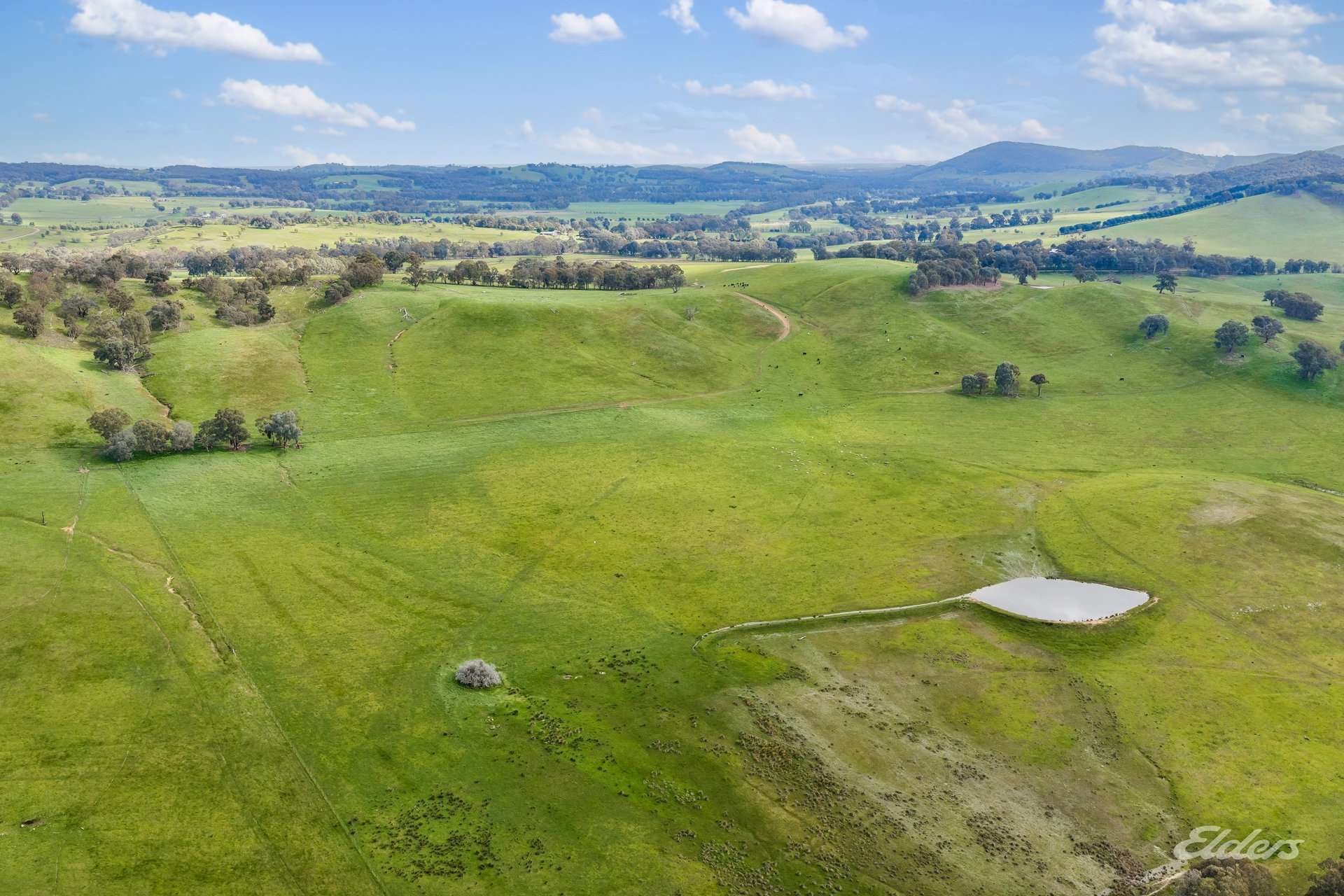 817 Upper Lurg Road, Upper Lurg For Sale by Farmbuy.com - image 33