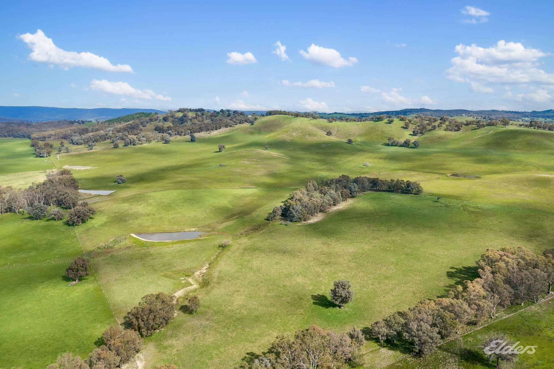 817 Upper Lurg Road, Upper Lurg For Sale by Farmbuy.com - image 30