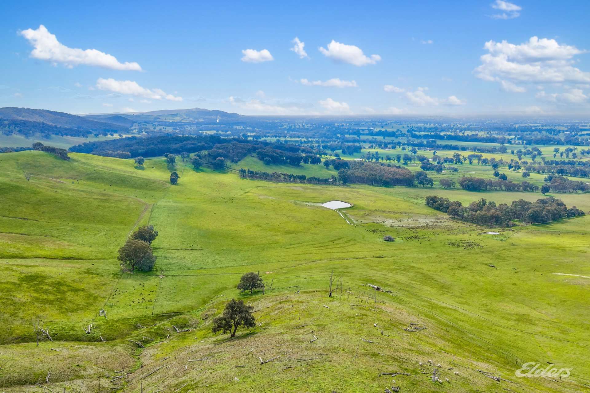 817 Upper Lurg Road, Upper Lurg For Sale by Farmbuy.com - image 23