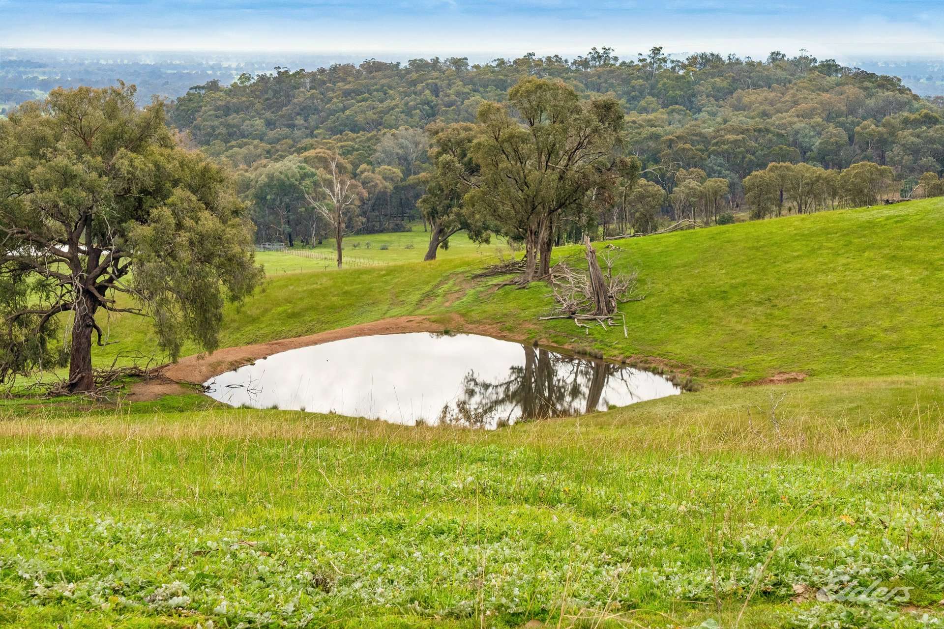 817 Upper Lurg Road, Upper Lurg For Sale by Farmbuy.com - image 22