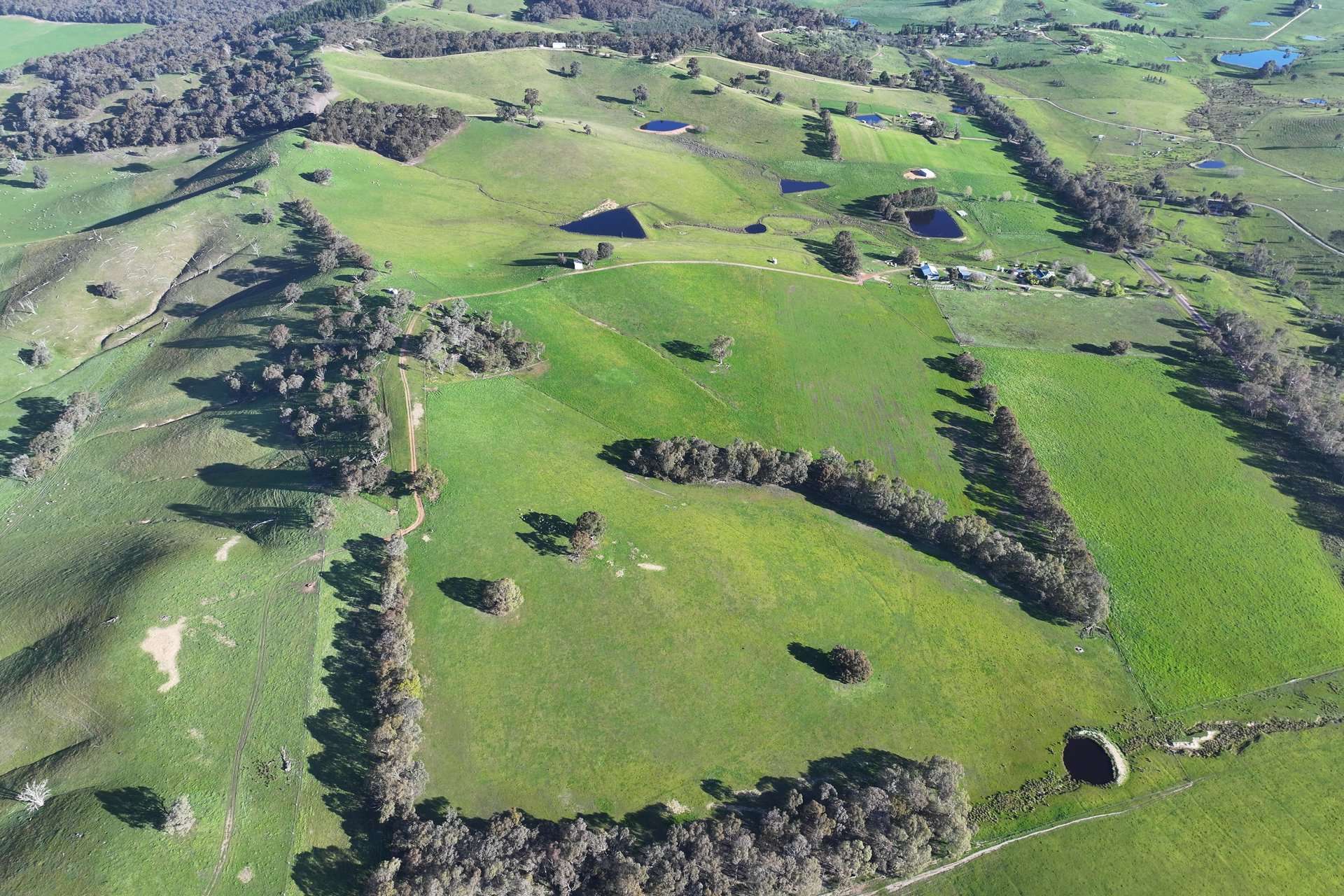 817 Upper Lurg Road, Upper Lurg For Sale by Farmbuy.com - image 16