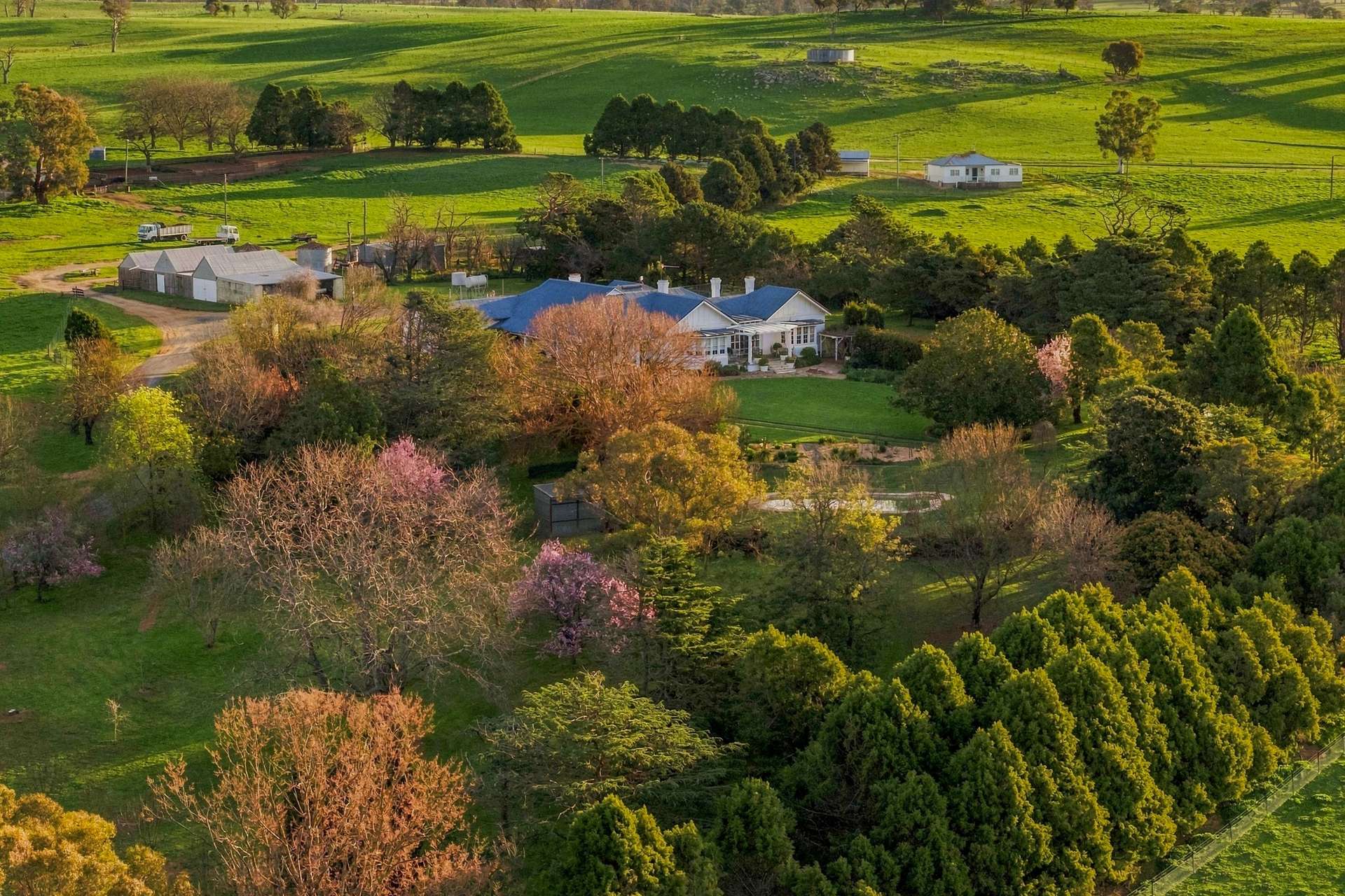594 Dog Trap Road, Yass For Sale by Farmbuy.com - image 11