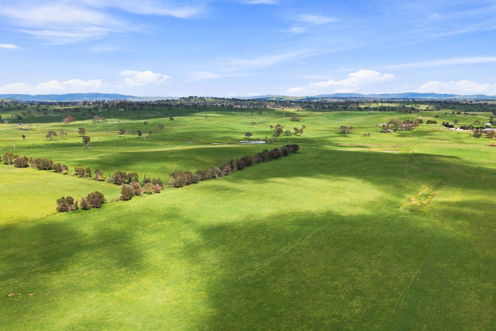 594 Dog Trap Road, Yass For Sale by Farmbuy.com - image 4