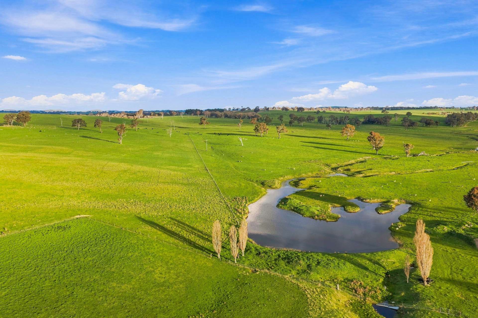 594 Dog Trap Road, Yass For Sale by Farmbuy.com - image 6