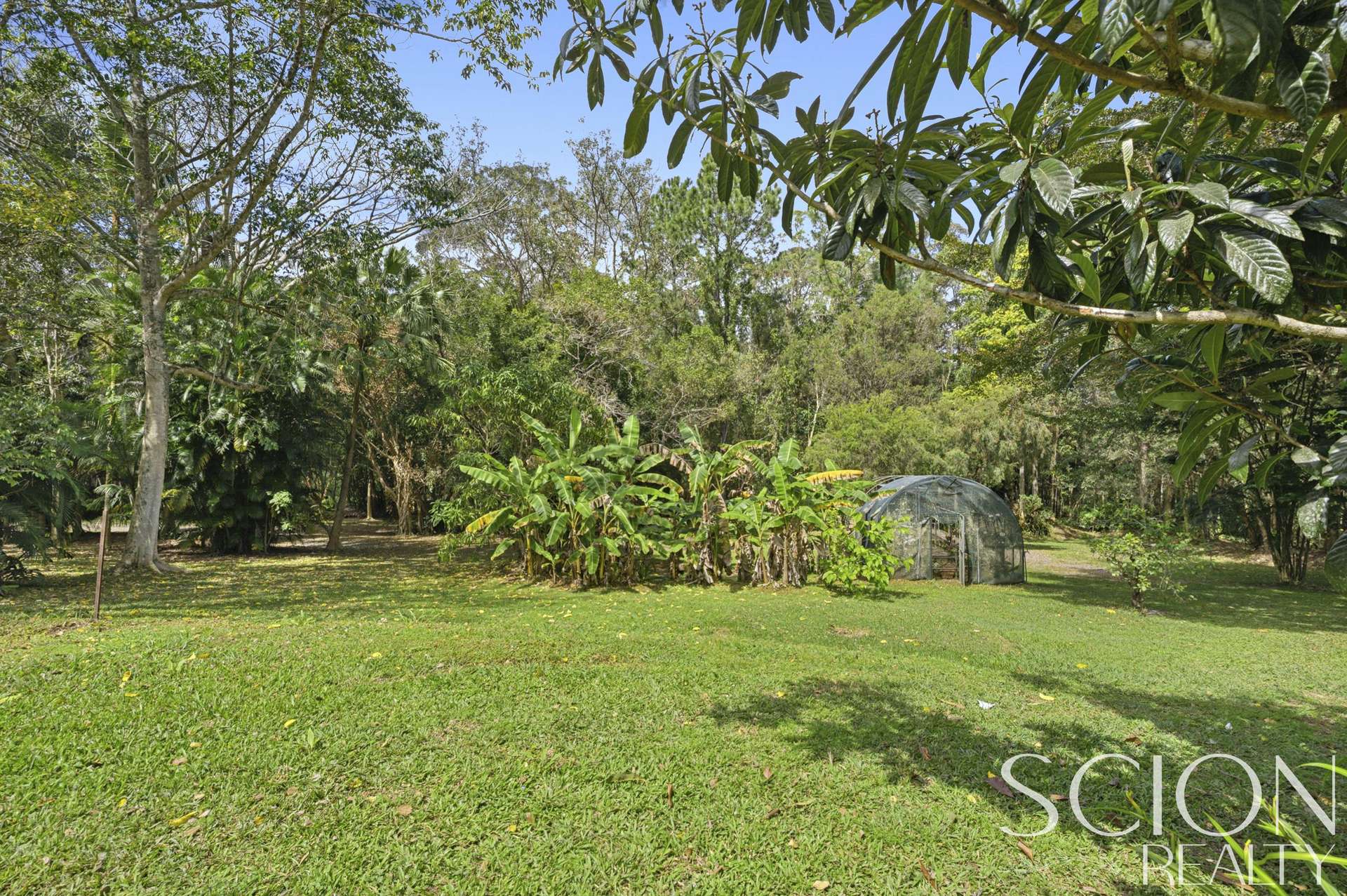 104 Nandroya Road, Cooroy Auction by Farmbuy.com - image 4