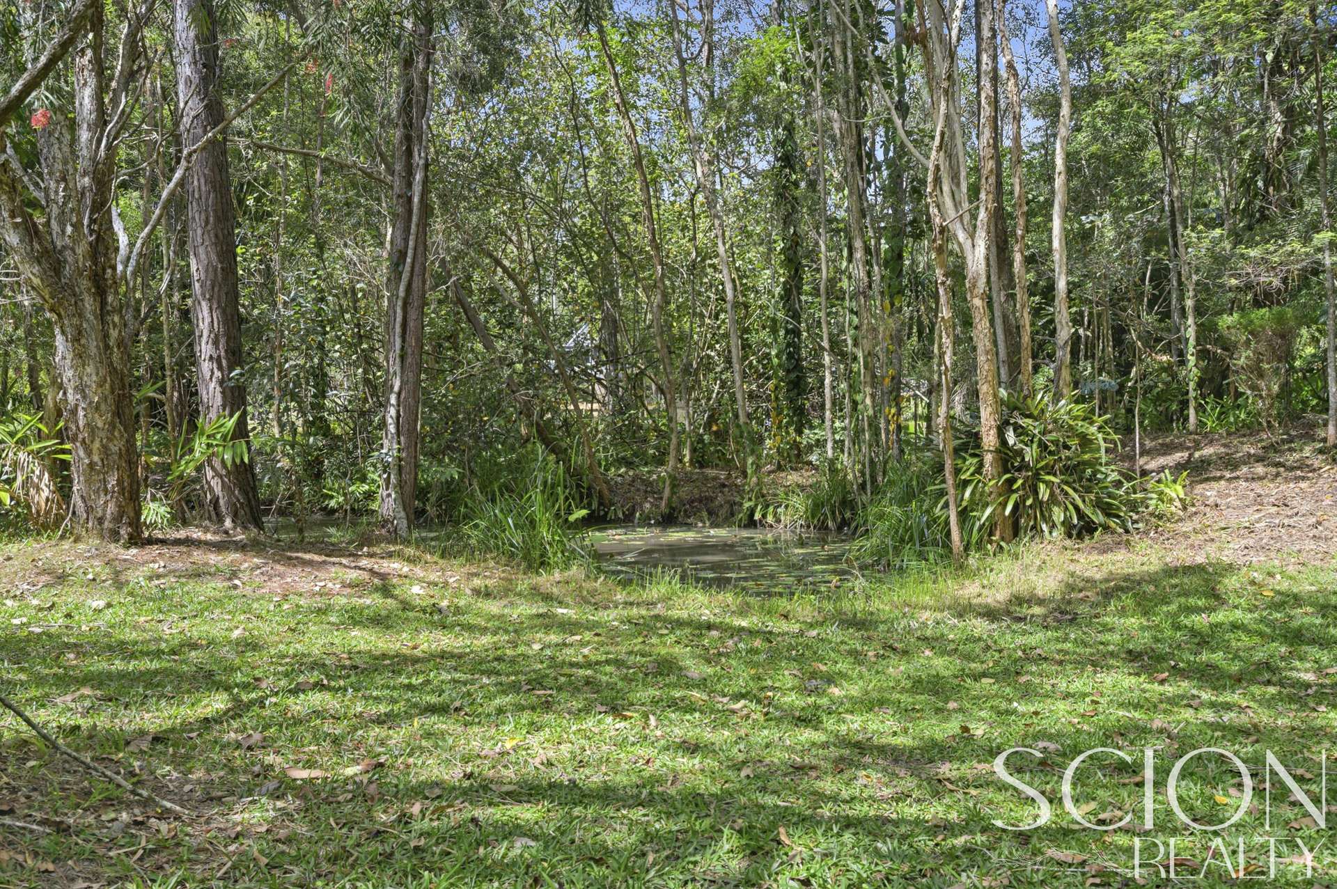 104 Nandroya Road, Cooroy Auction by Farmbuy.com - image 22