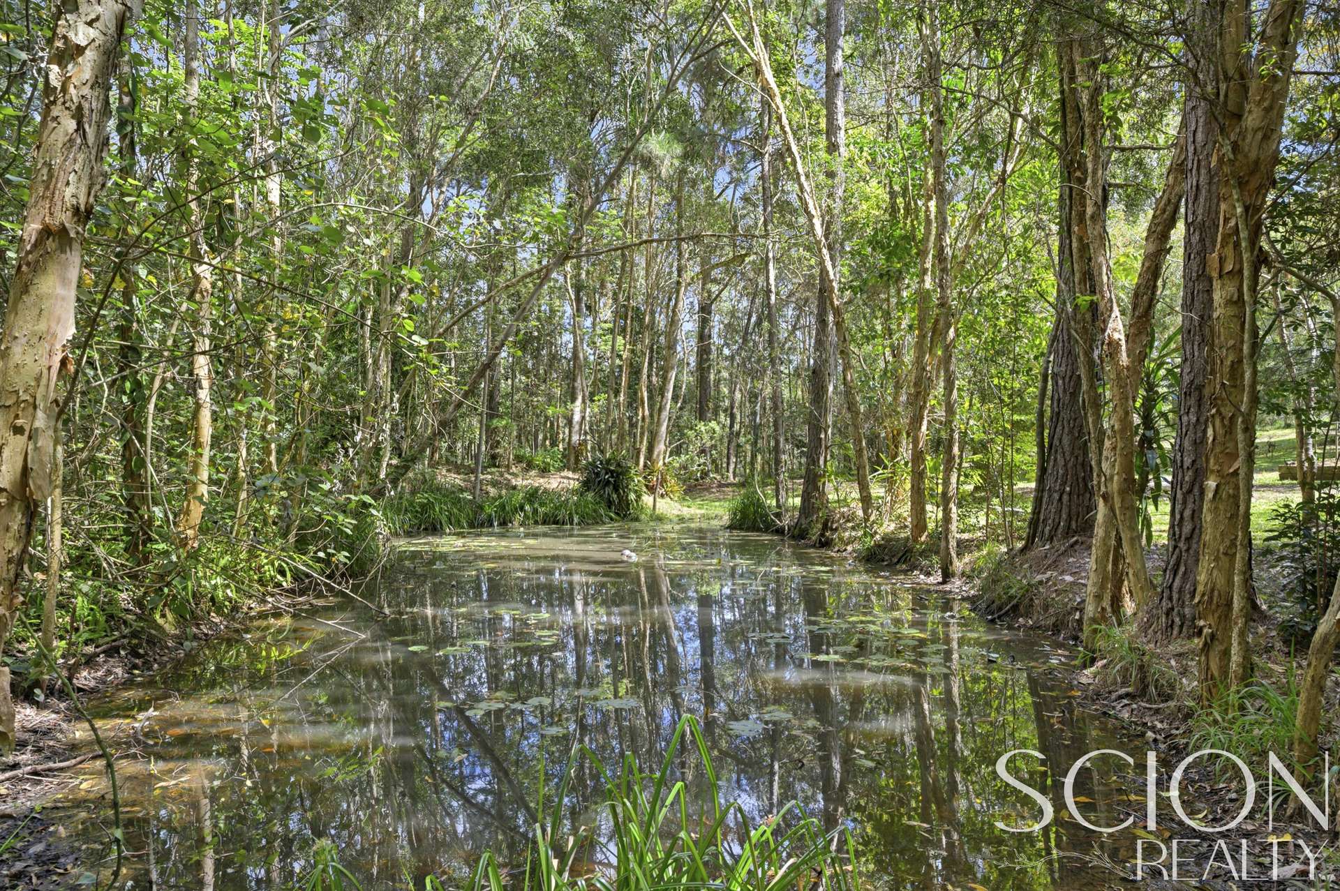 104 Nandroya Road, Cooroy Auction by Farmbuy.com - image 21