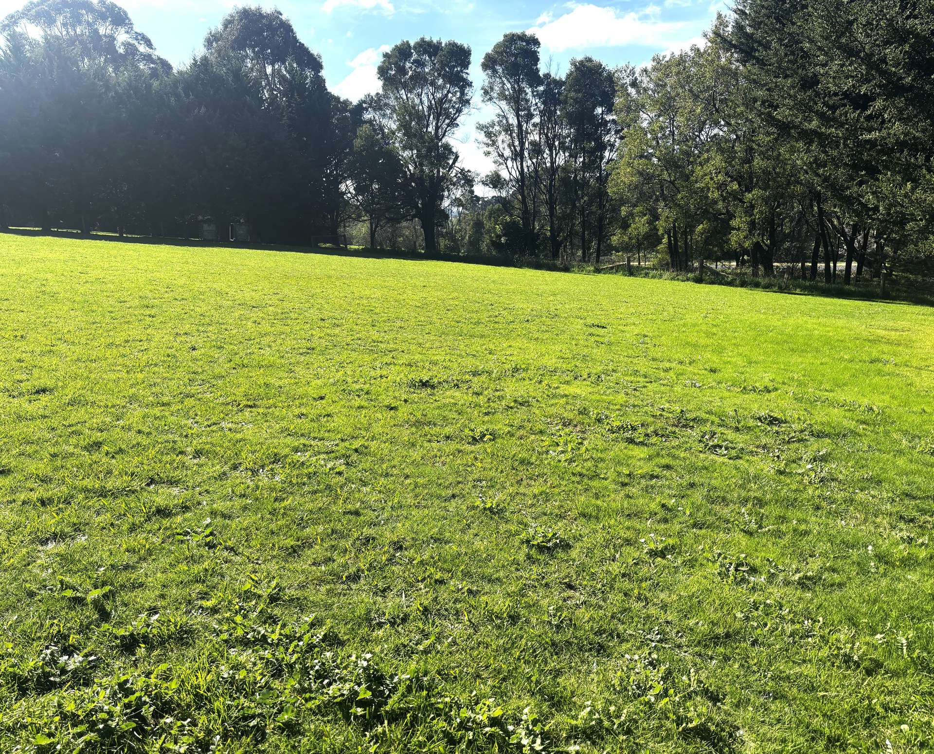 14B Greenland Drive, Drouin For Sale by Farmbuy.com - image 5