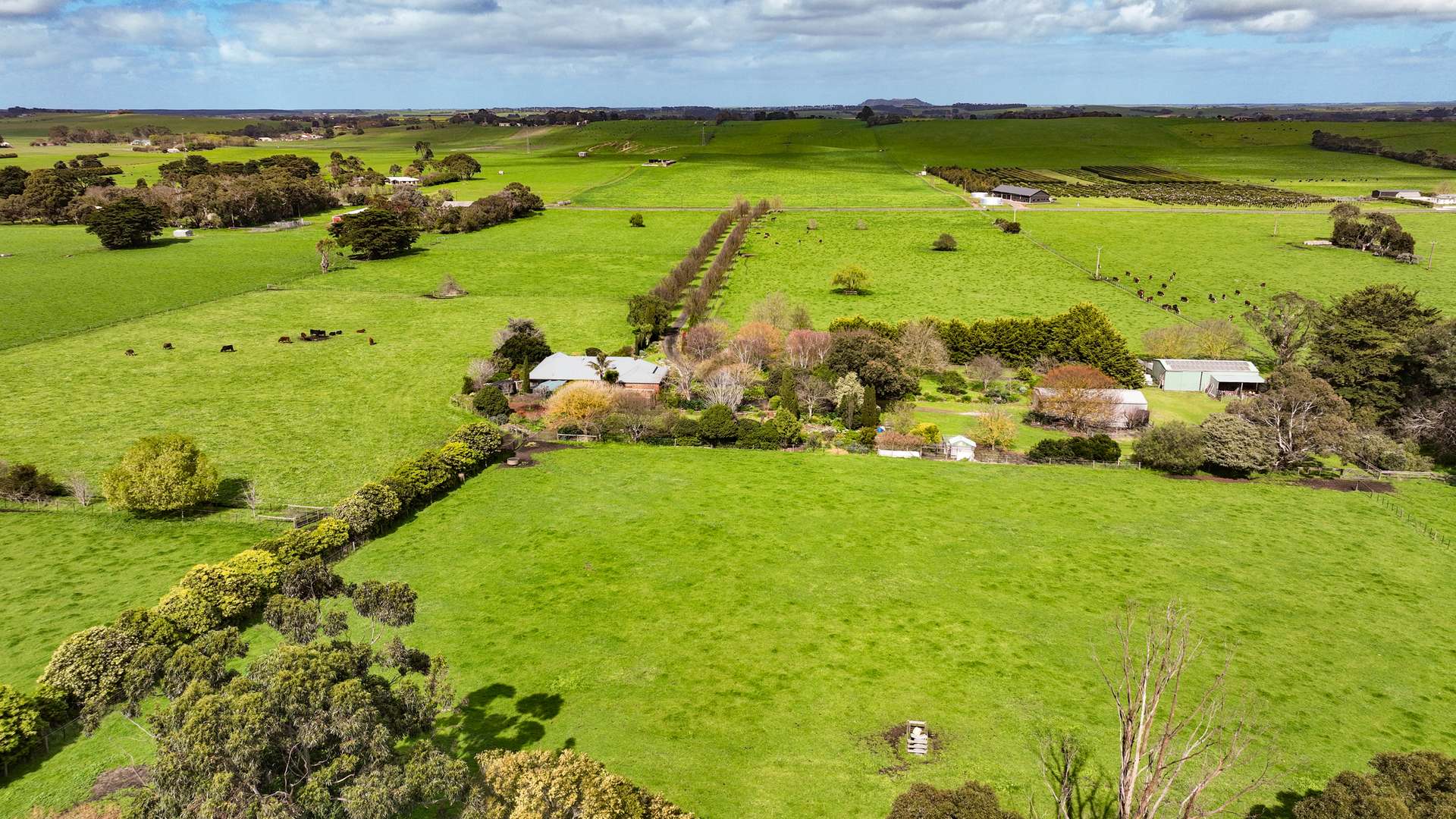 109 Kilsby Road, Moorak Auction by Farmbuy.com - image 4