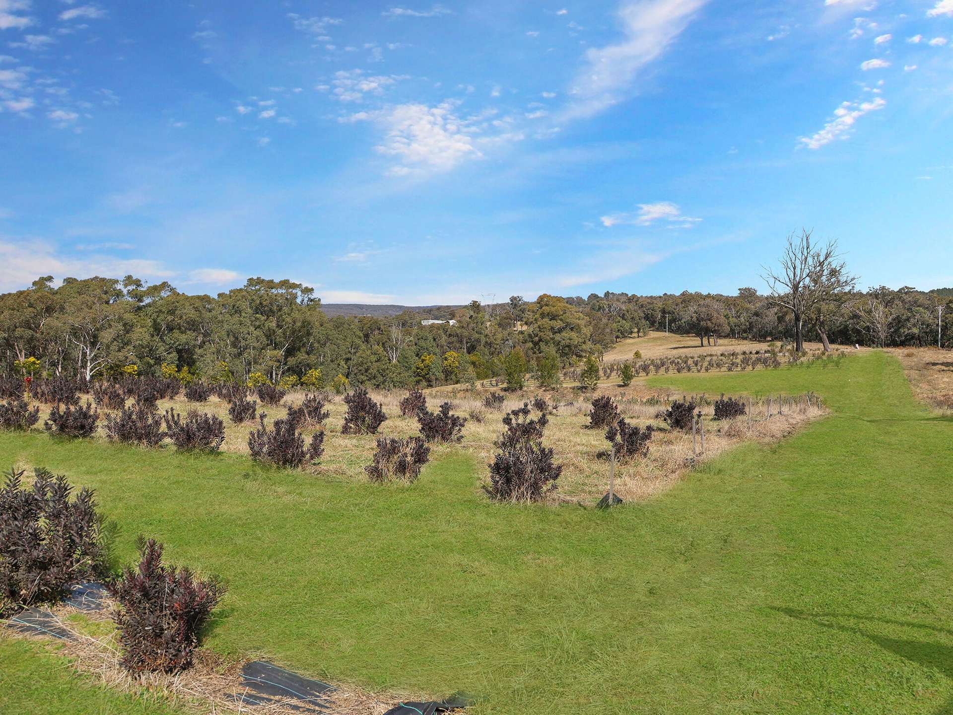 2200 Canyonleigh Road, Canyonleigh For Sale by Farmbuy.com - image 24