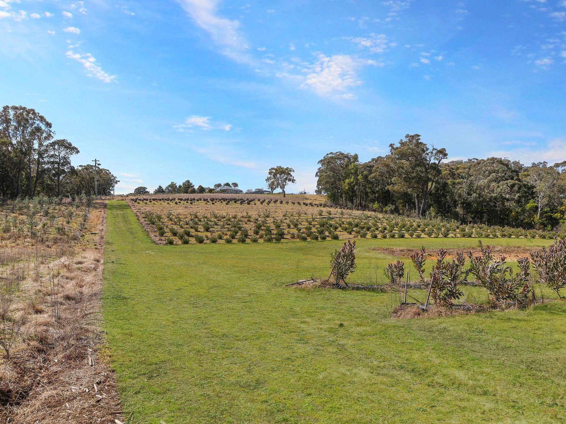 2200 Canyonleigh Road, Canyonleigh For Sale by Farmbuy.com - image 25