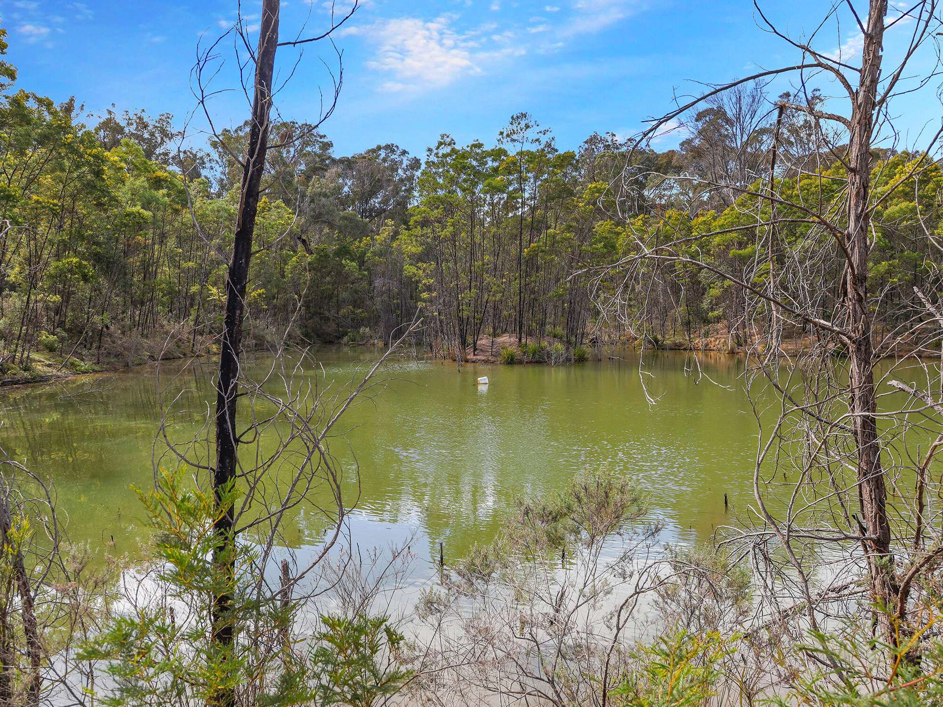 2200 Canyonleigh Road, Canyonleigh For Sale by Farmbuy.com - image 29