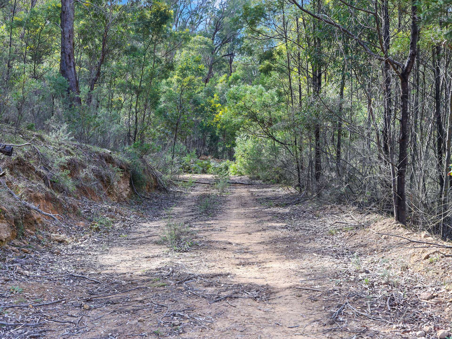 2200 Canyonleigh Road, Canyonleigh For Sale by Farmbuy.com - image 27