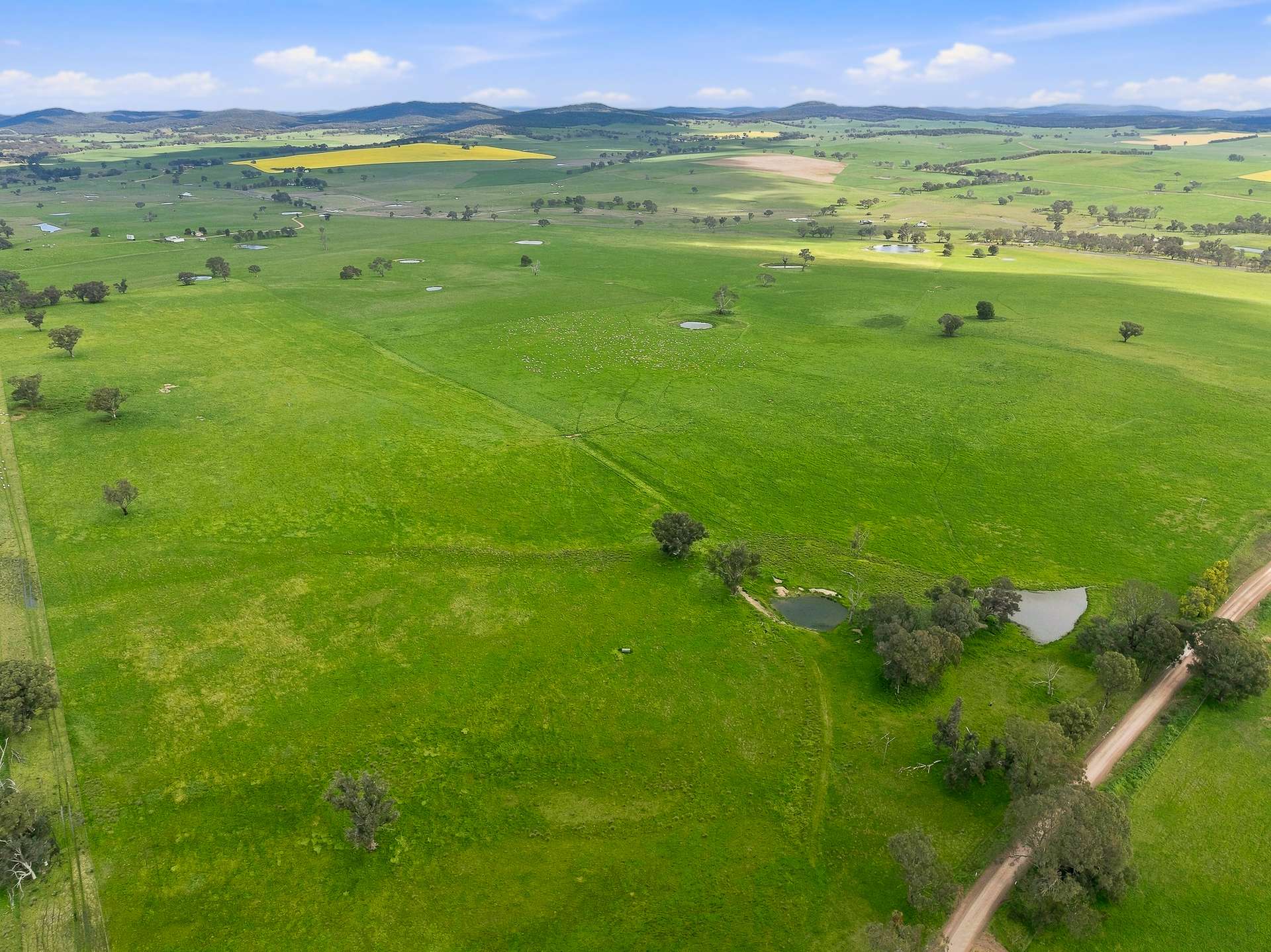 1784 Gumble Road, Gumble Auction by Farmbuy.com - image 2
