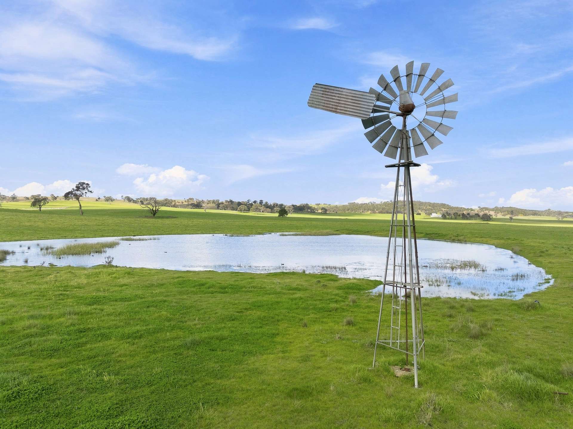 1784 Gumble Road, Gumble Auction by Farmbuy.com - image 10