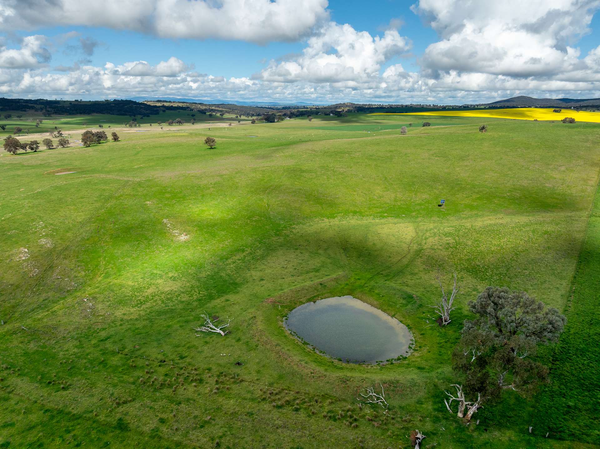 1784 Gumble Road, Gumble Auction by Farmbuy.com - image 11