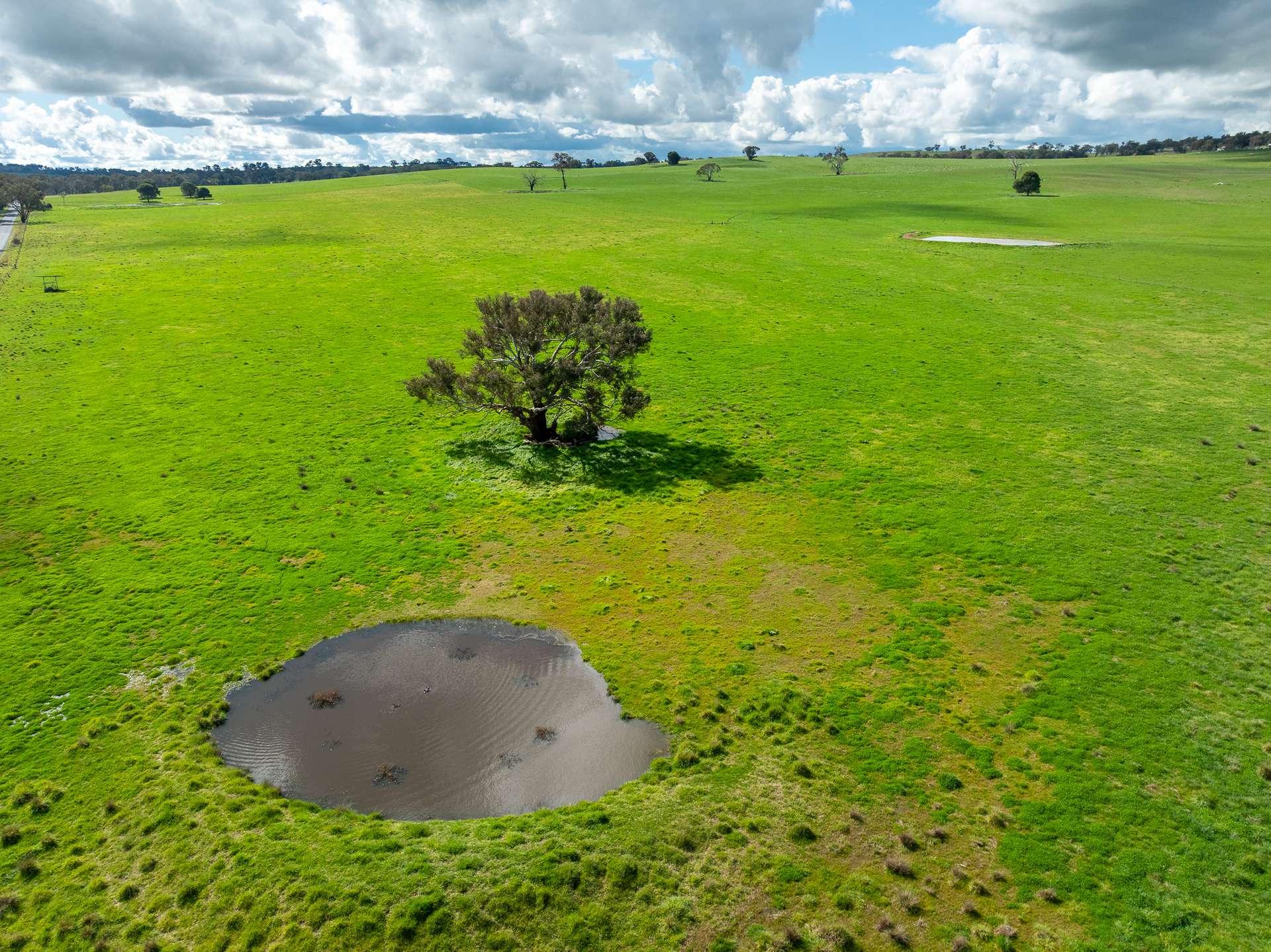 1784 Gumble Road, Gumble Auction by Farmbuy.com - image 14