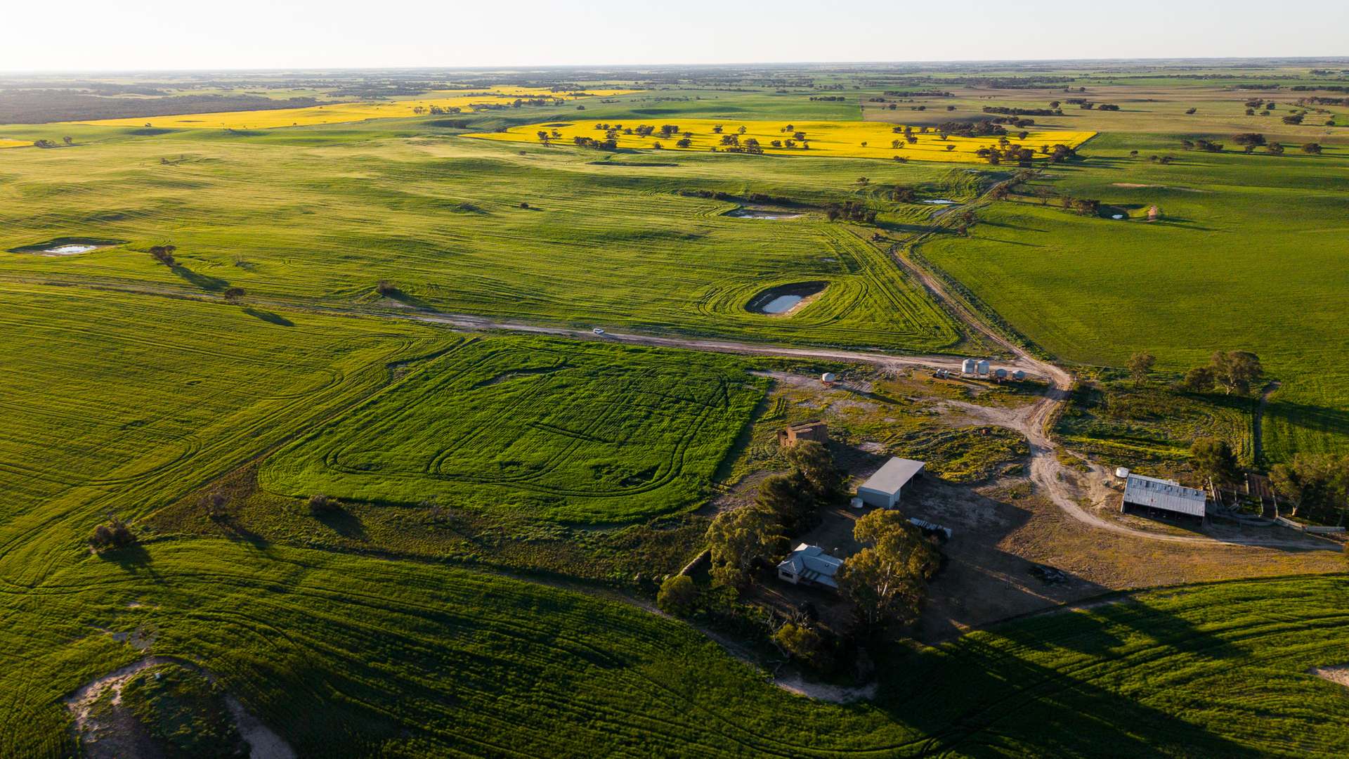 2117 Senior Road, Senior For Sale by Farmbuy.com - image 2