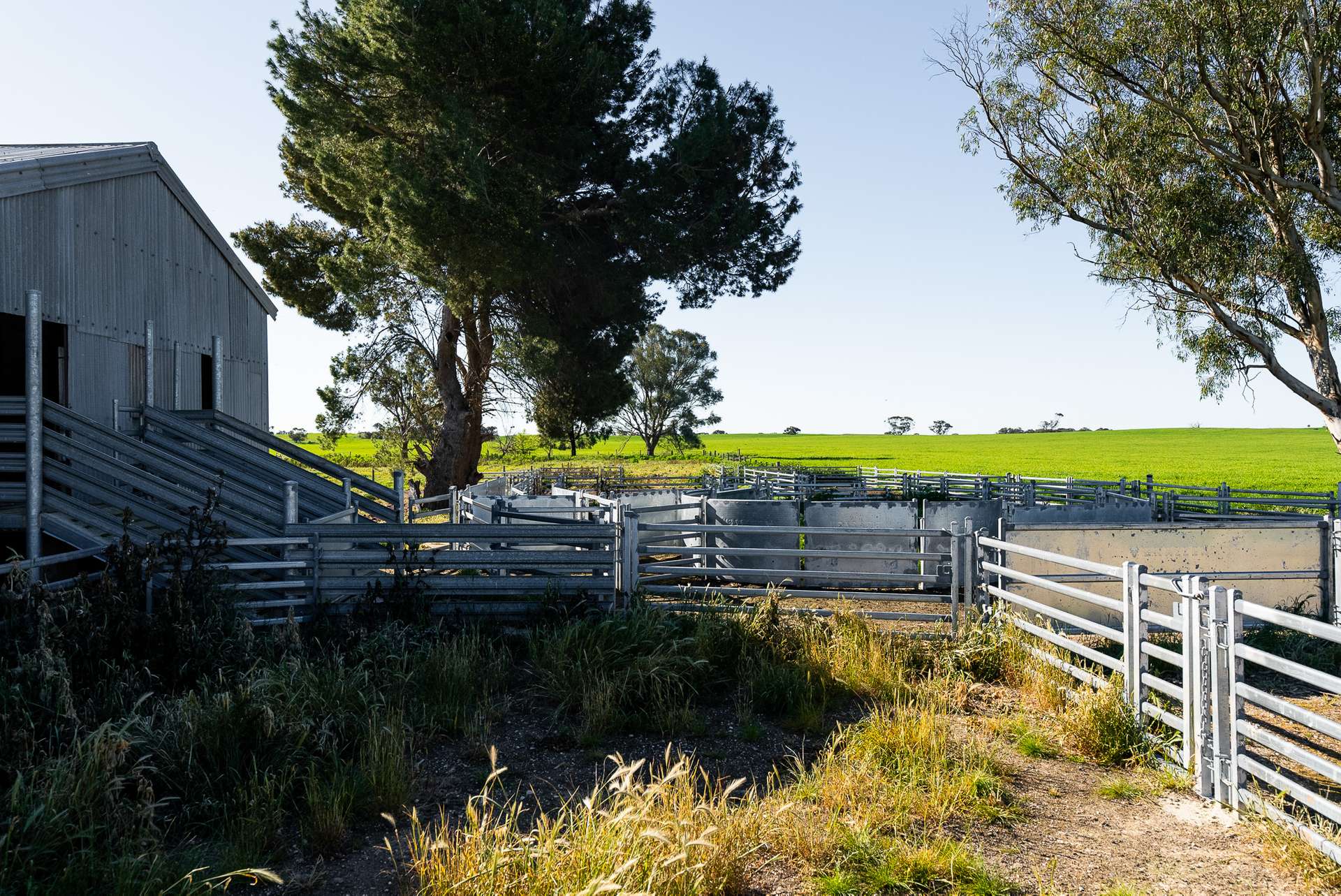 2117 Senior Road, Senior For Sale by Farmbuy.com - image 18