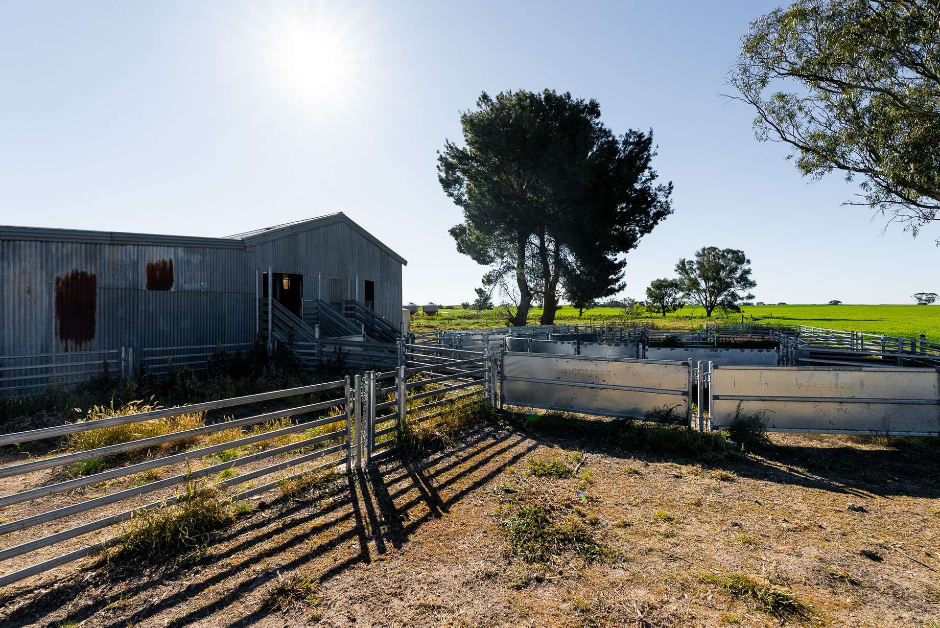 2117 Senior Road, Senior For Sale by Farmbuy.com - image 21