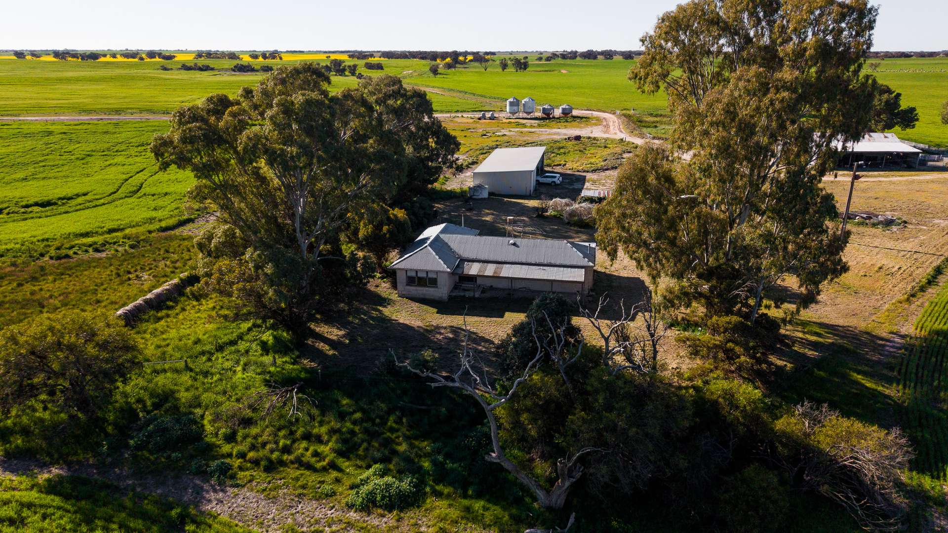 2117 Senior Road, Senior For Sale by Farmbuy.com - image 30