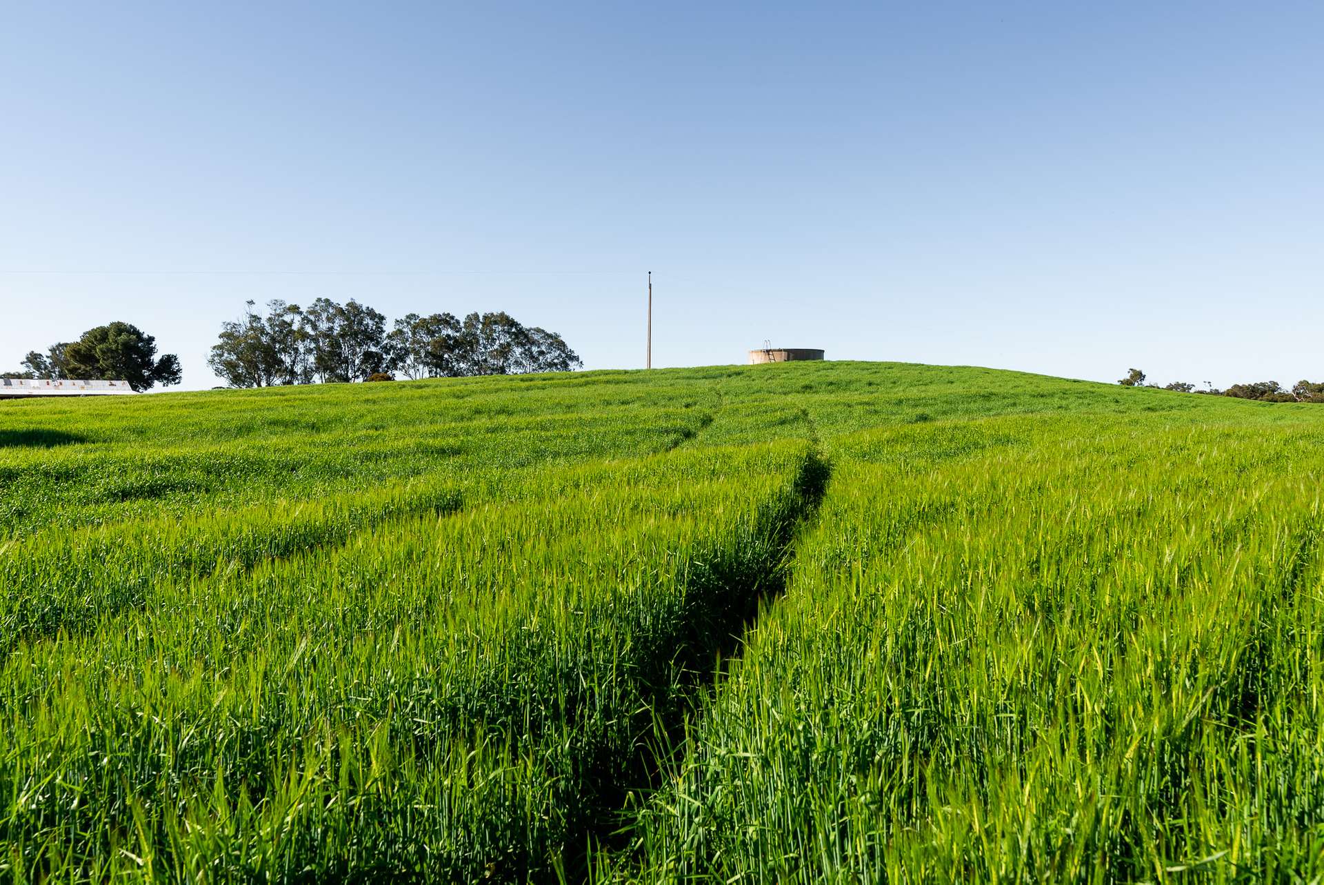 2117 Senior Road, Senior For Sale by Farmbuy.com - image 25