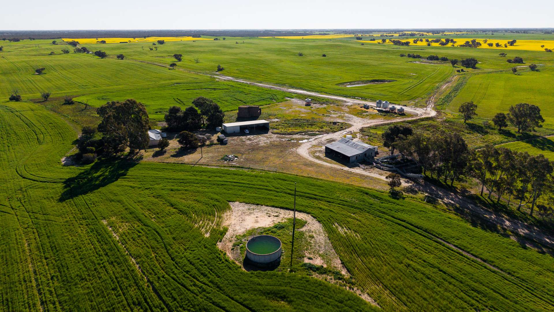2117 Senior Road, Senior For Sale by Farmbuy.com - image 11