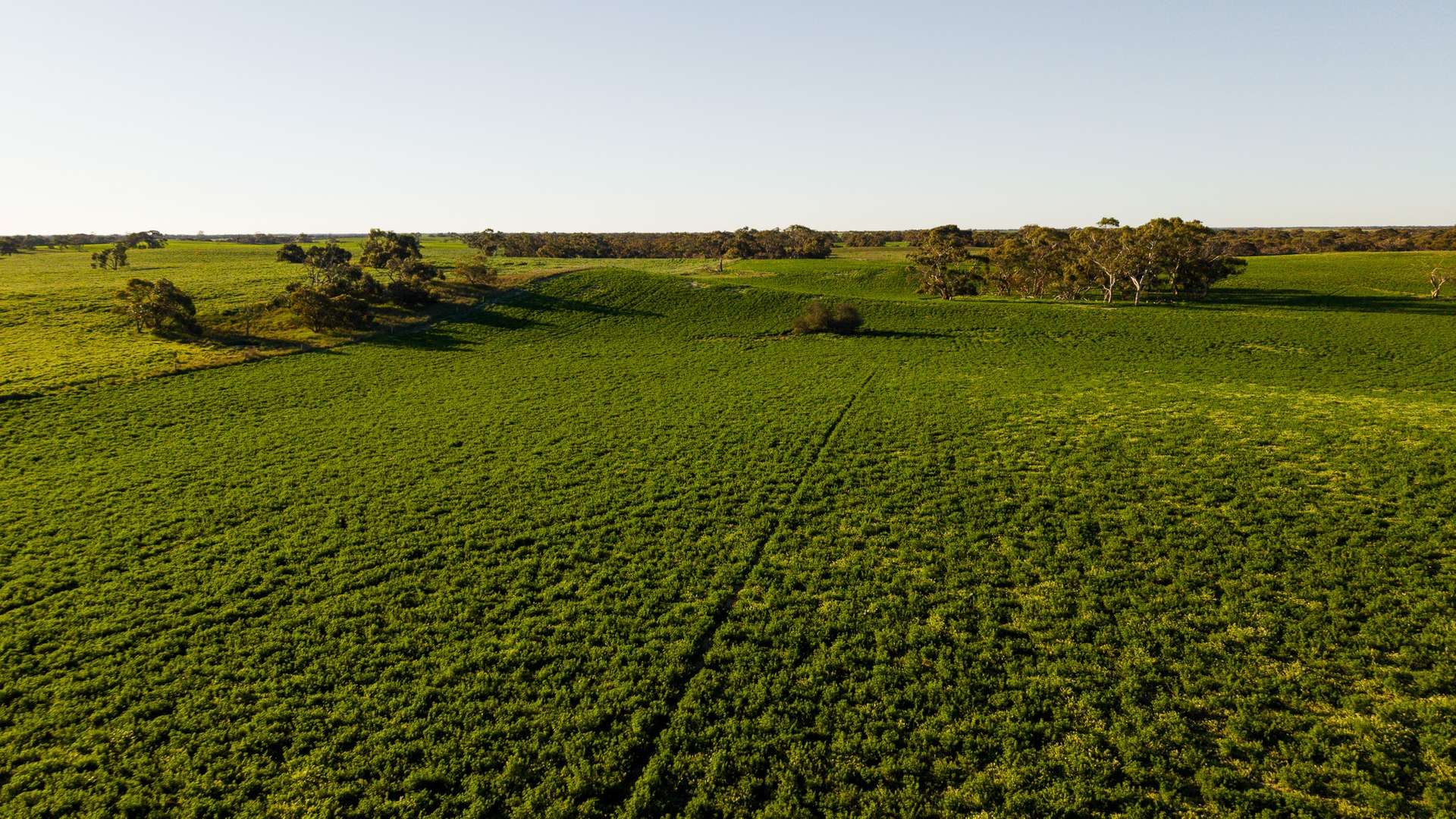 2117 Senior Road, Senior For Sale by Farmbuy.com - image 8