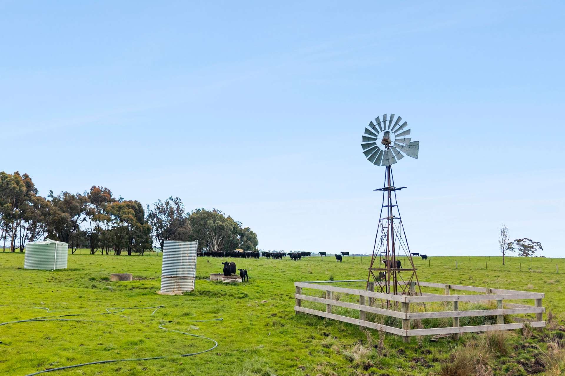 1469 Kyneton-Redesdale Road, Barfold For Sale by Farmbuy.com - image 19