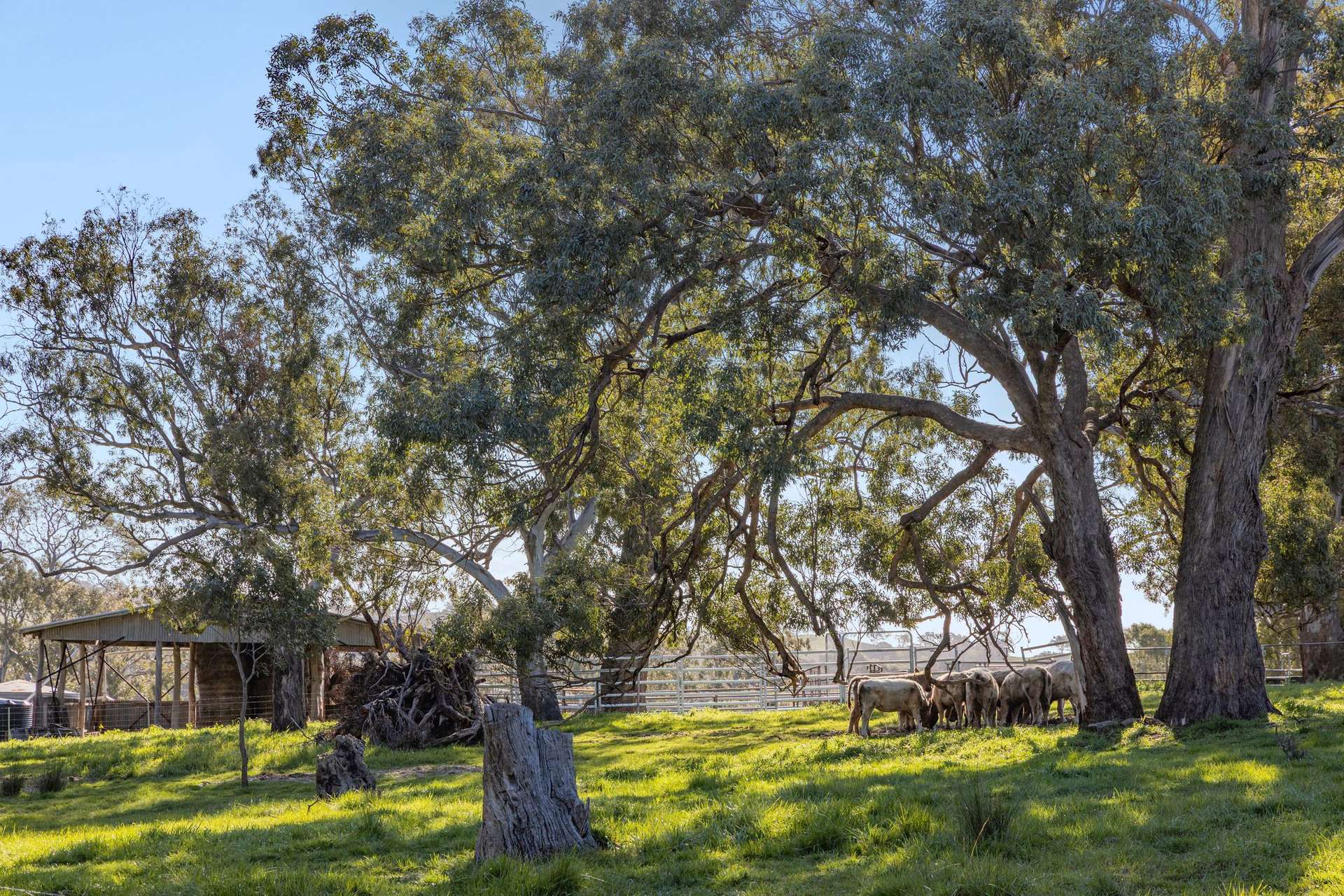 1469 Kyneton-Redesdale Road, Barfold For Sale by Farmbuy.com - image 18