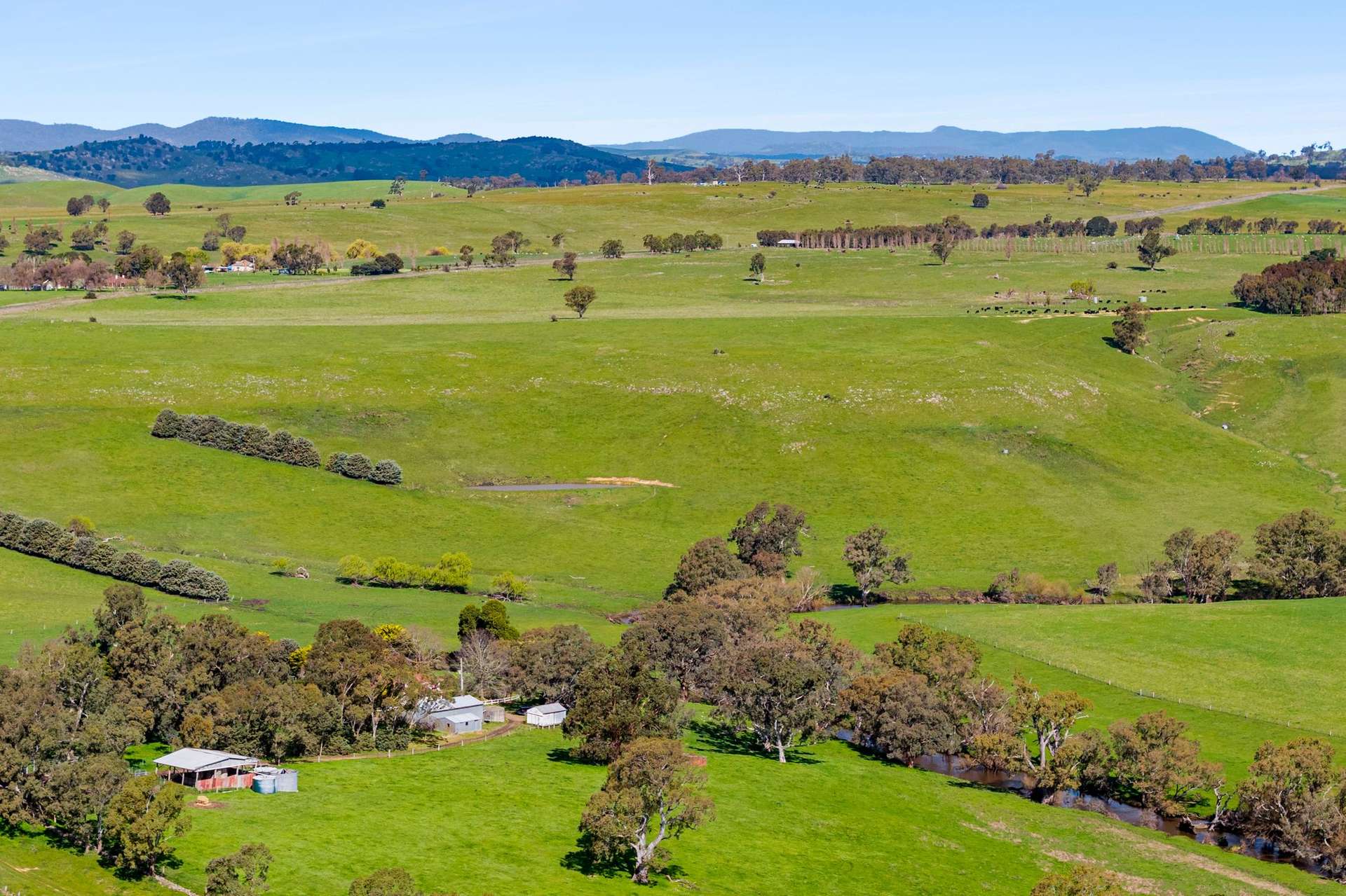 1469 Kyneton-Redesdale Road, Barfold For Sale by Farmbuy.com - image 6