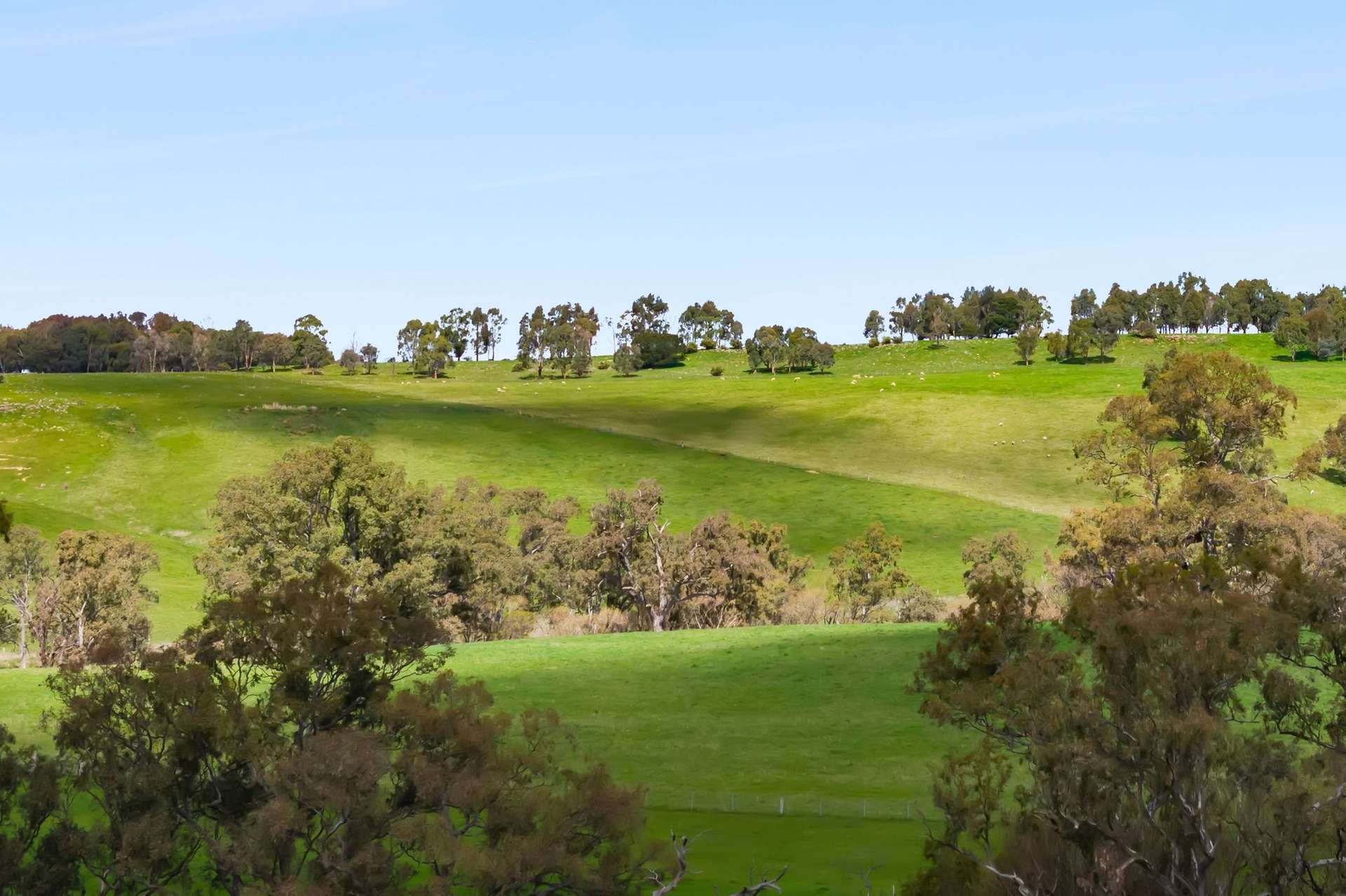 1469 Kyneton-Redesdale Road, Barfold For Sale by Farmbuy.com - image 23