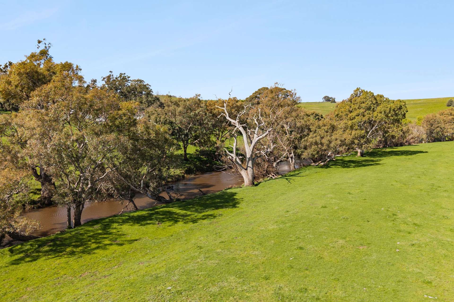 1469 Kyneton-Redesdale Road, Barfold For Sale by Farmbuy.com - image 7