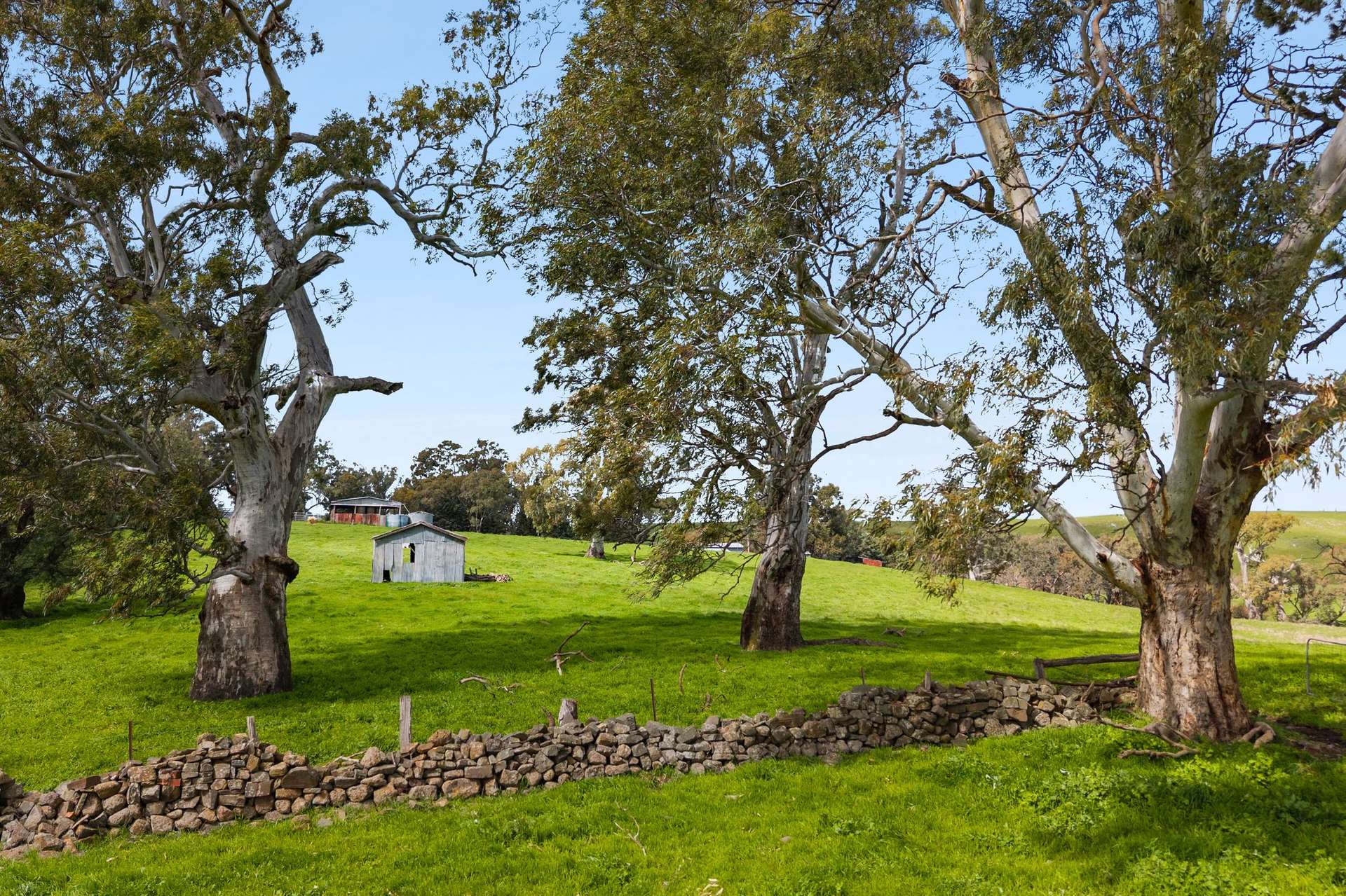 1469 Kyneton-Redesdale Road, Barfold For Sale by Farmbuy.com - image 9