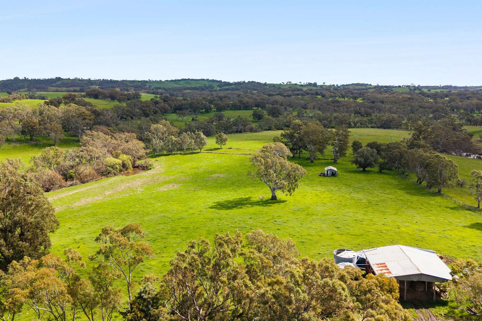 1469 Kyneton-Redesdale Road, Barfold For Sale by Farmbuy.com - image 8