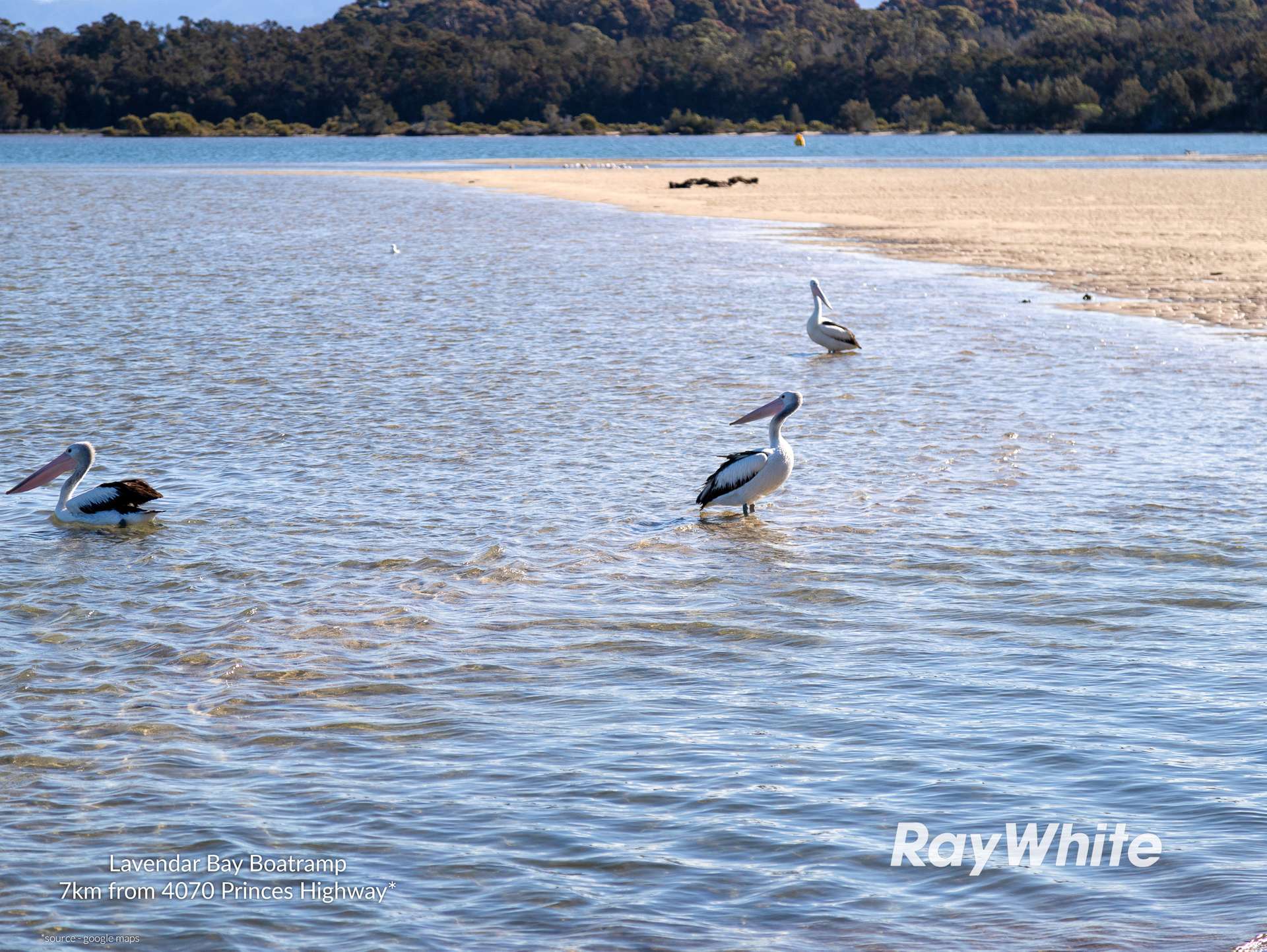 4070 Princes Highway, Coila For Sale by Farmbuy.com - image 19