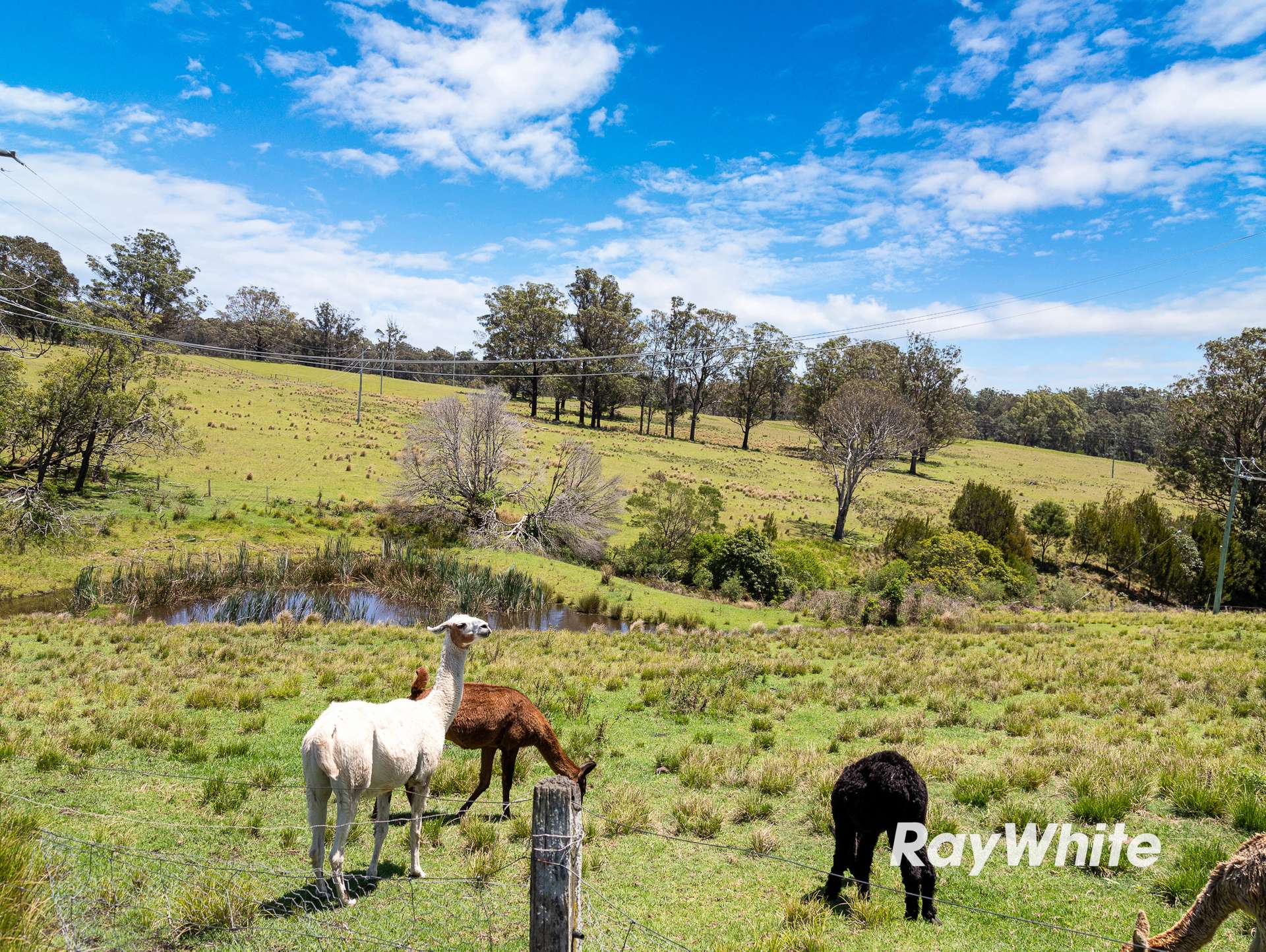 4070 Princes Highway, Coila For Sale by Farmbuy.com - image 10