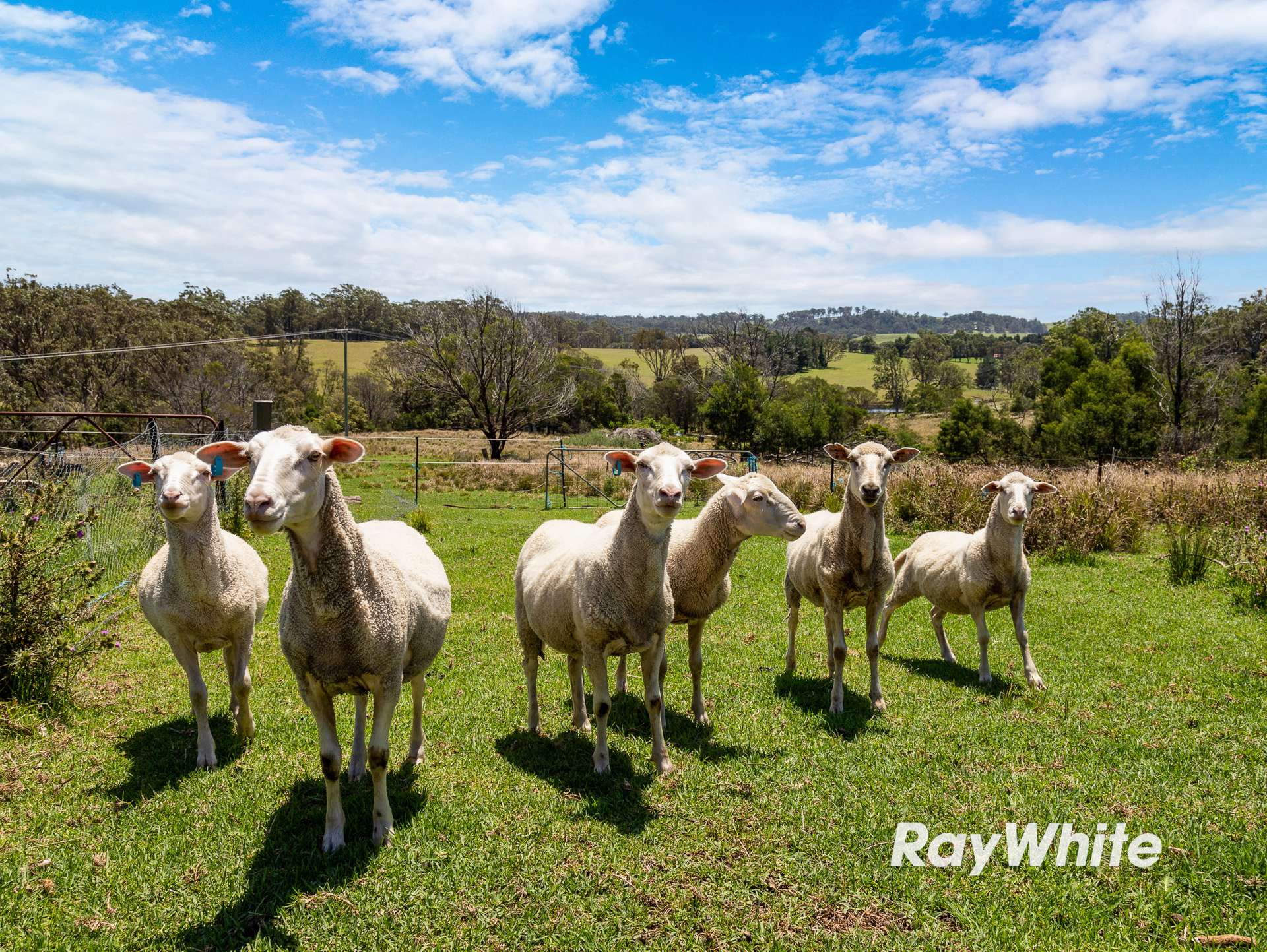 4070 Princes Highway, Coila For Sale by Farmbuy.com - image 11