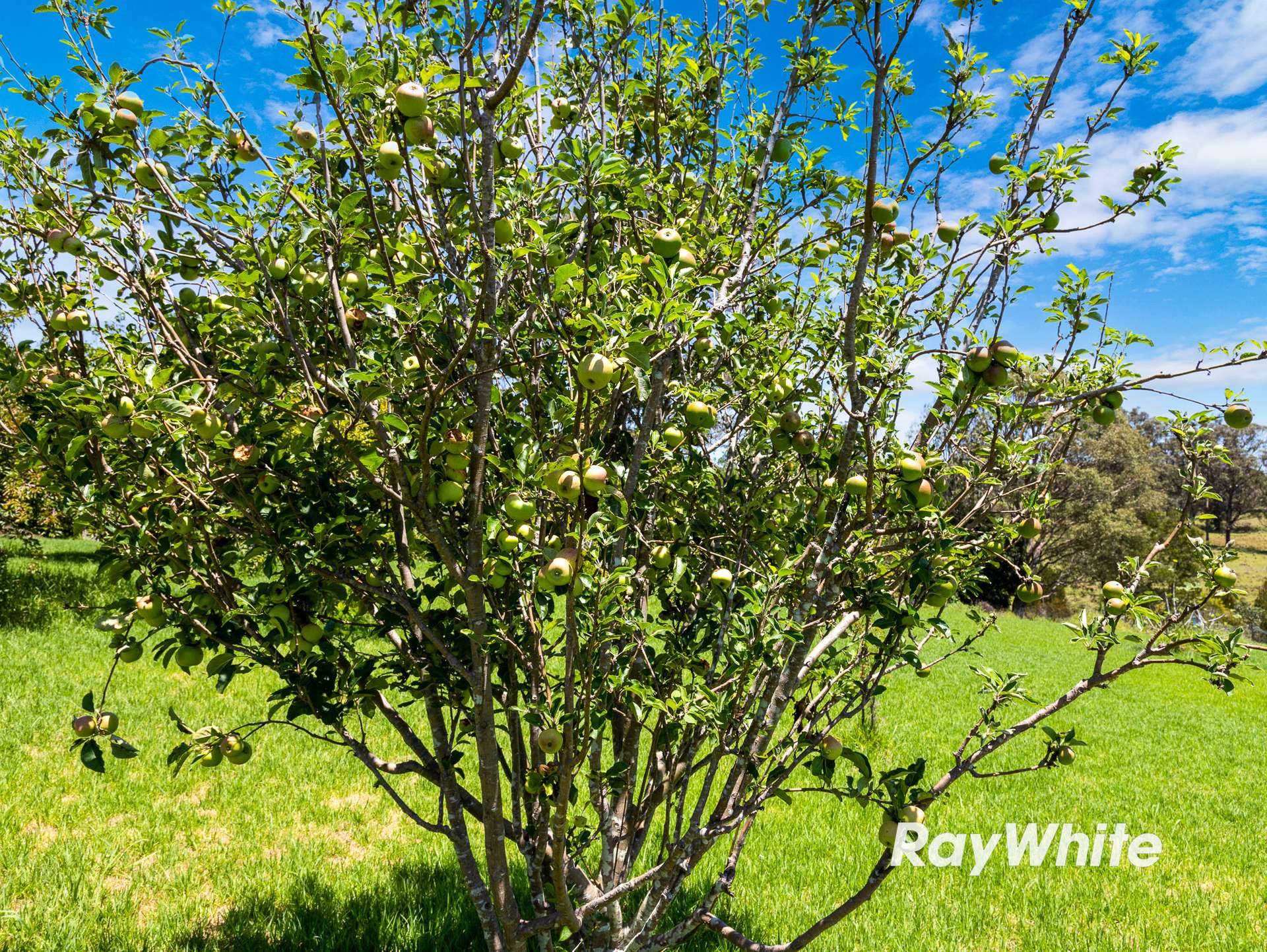 4070 Princes Highway, Coila For Sale by Farmbuy.com - image 14