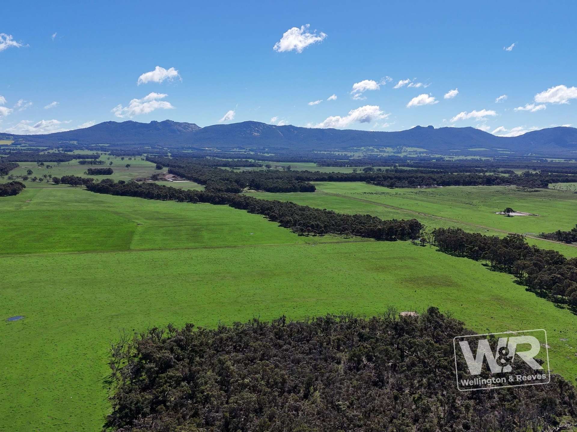 Lot 474 Yellanup Road, Narrikup For Sale by Farmbuy.com - image 12