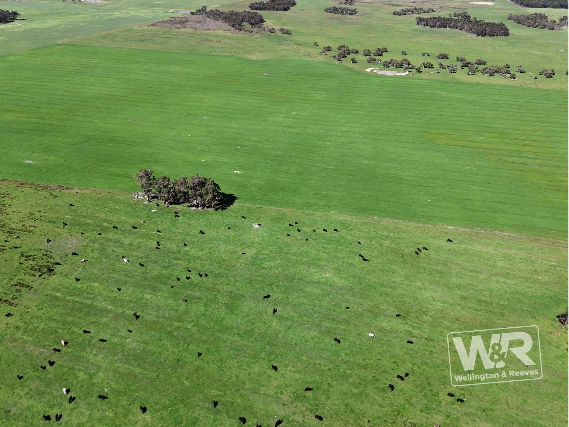 Lot 474 Yellanup Road, Narrikup For Sale by Farmbuy.com - image 15
