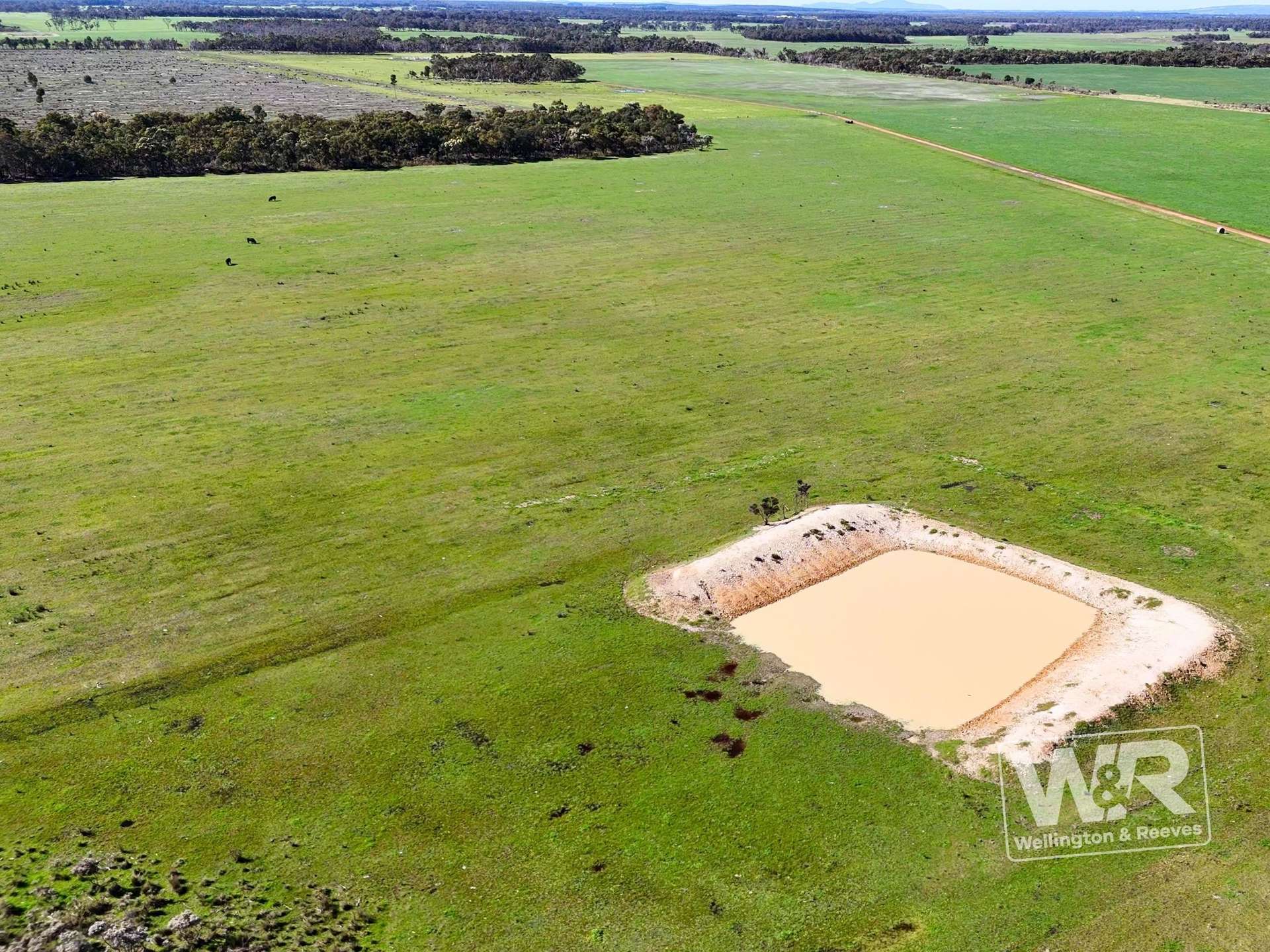 Lot 474 Yellanup Road, Narrikup For Sale by Farmbuy.com - image 5