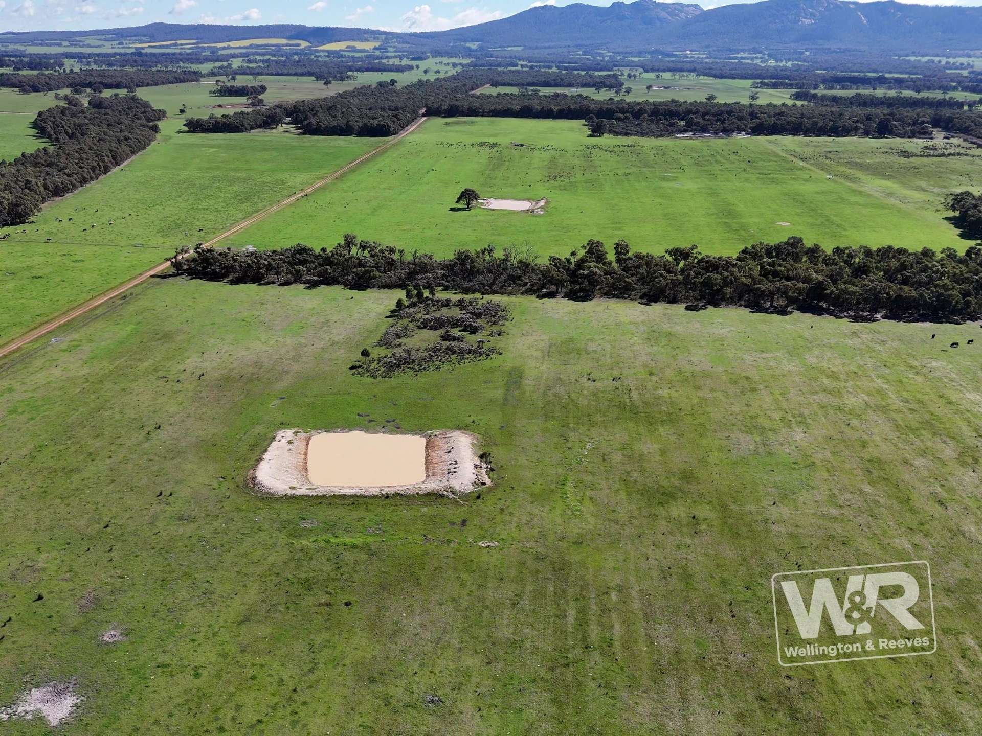 Lot 474 Yellanup Road, Narrikup For Sale by Farmbuy.com - image 11